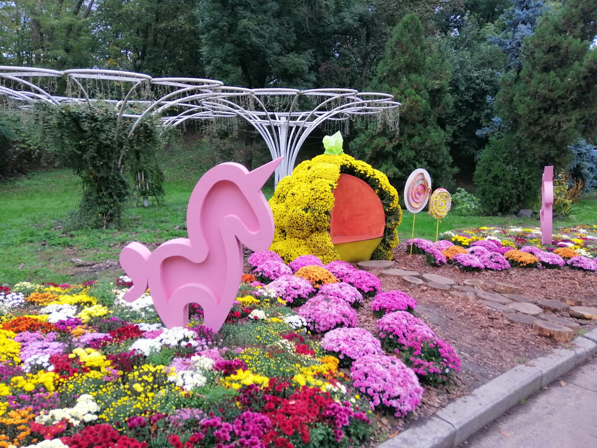 Chrysanthemum exhibition - My, Kiev, Flowers, Chrysanthemums, Autumn, Exhibition, Longpost