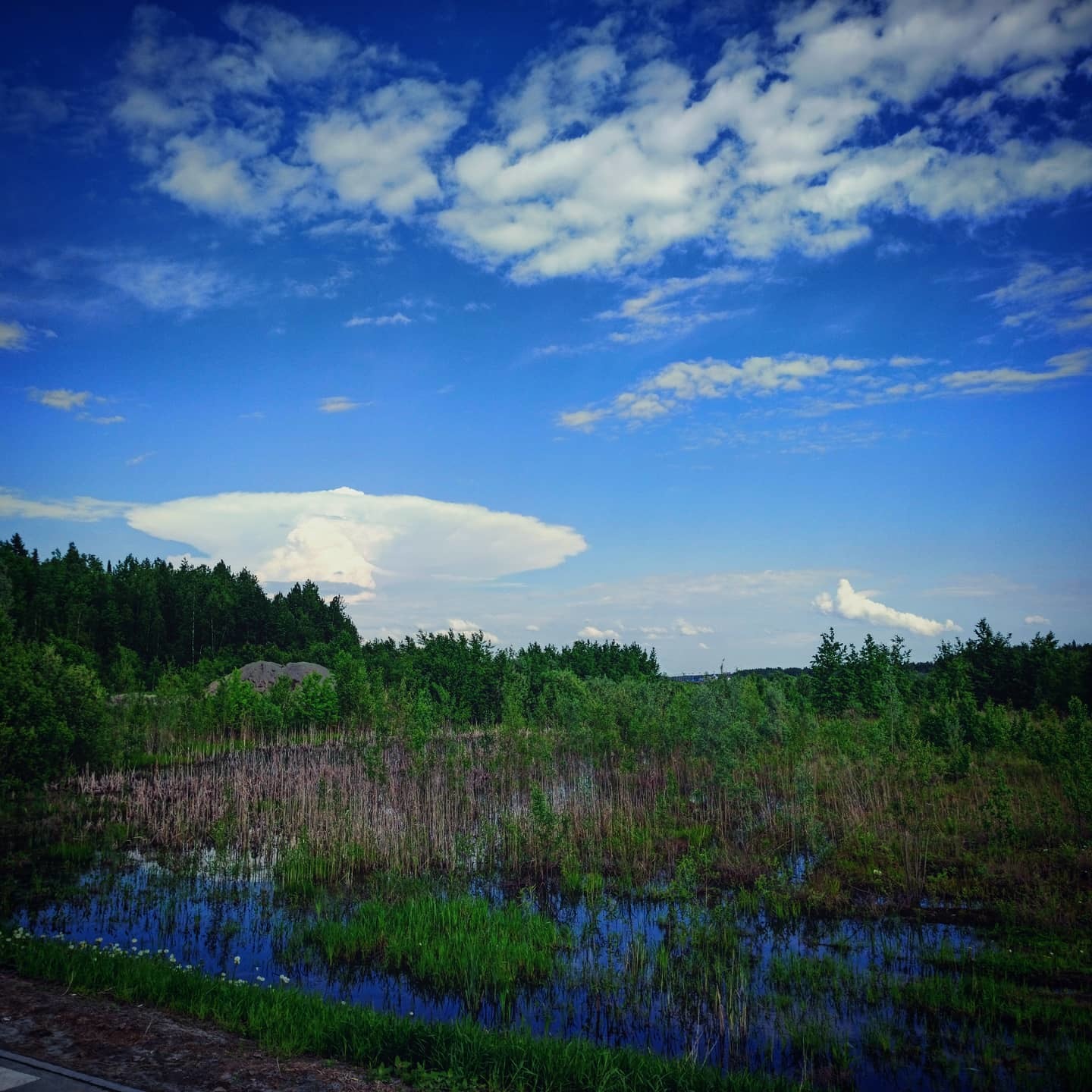 Cloud post - My, Clouds, North, Sky, Mobile photography, Longpost, The photo