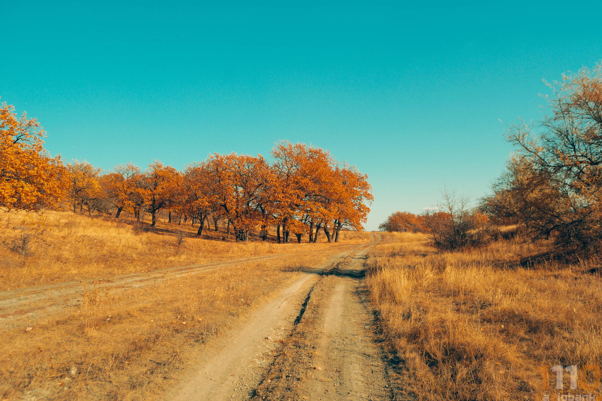 My photos from cycling Burkin Gully/Kolotov Gully 10/20/20 - My, Bike ride, The photo, Lightroom, Nikon, Nikon d3100, Longpost