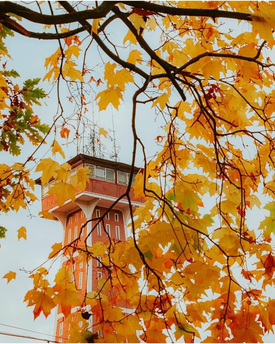 Rybinsk - Russia, The photo, Autumn, Rybinsk, Nature, Town, Bridge, River, Longpost