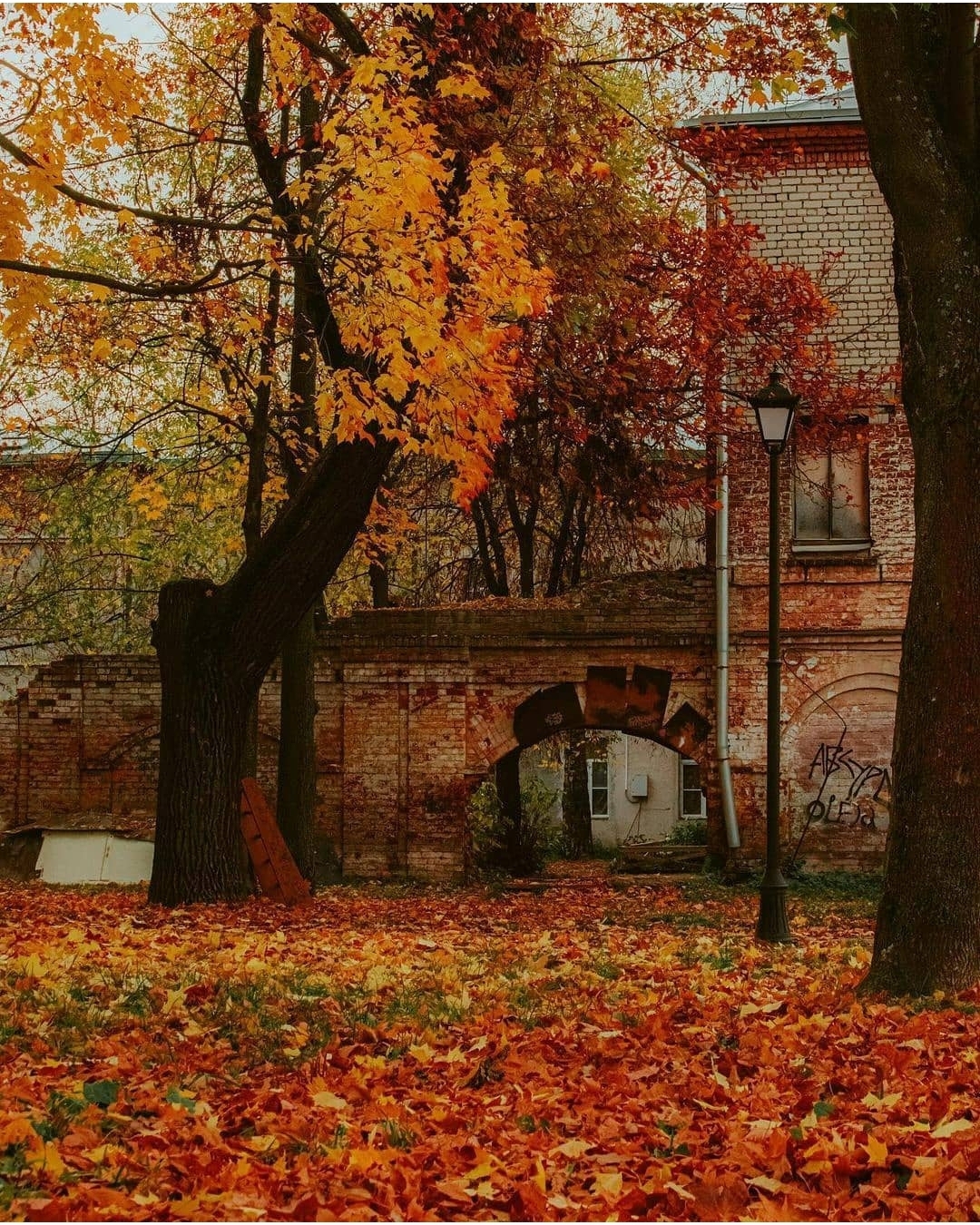 Rybinsk - Russia, The photo, Autumn, Rybinsk, Nature, Town, Bridge, River, Longpost