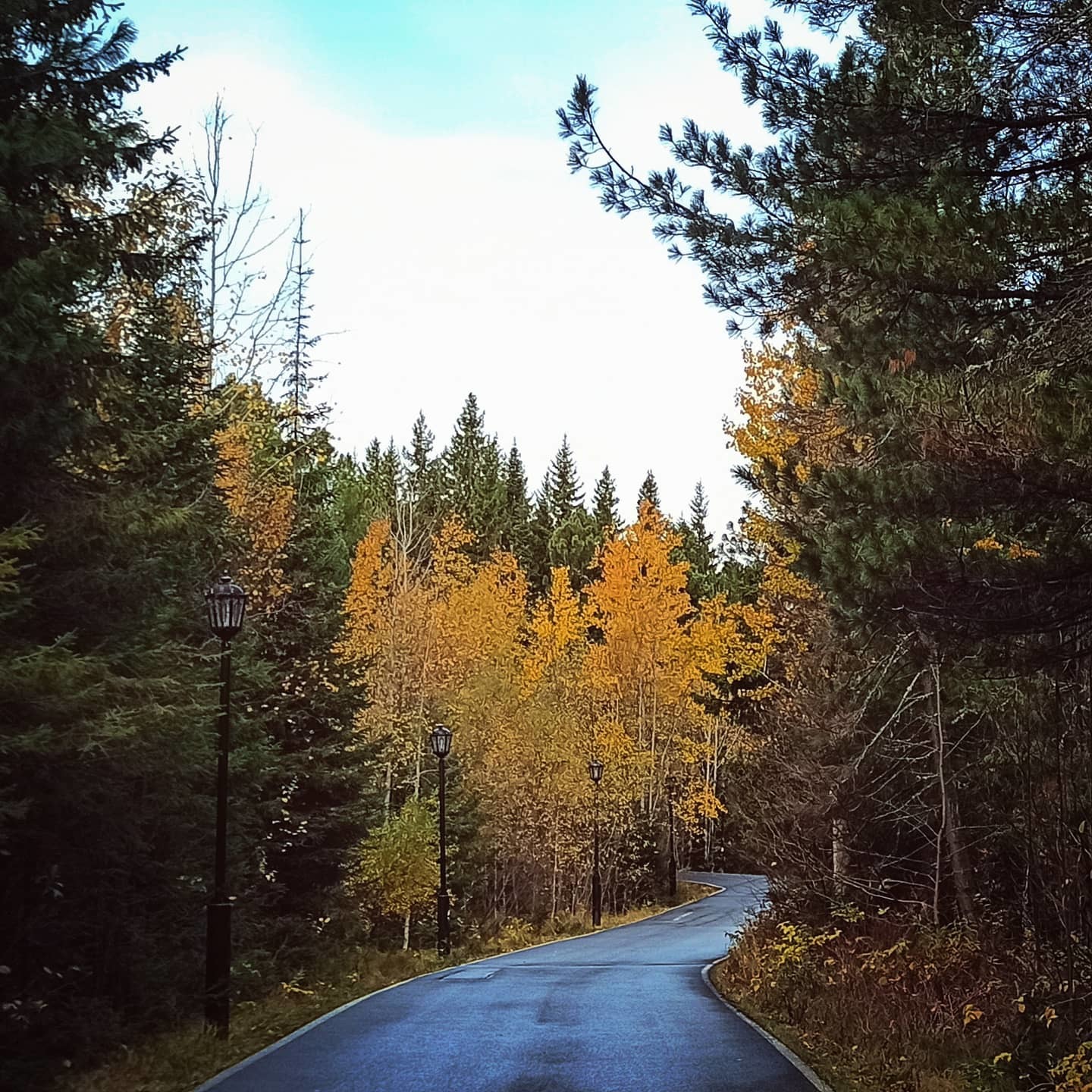 Autumn walks 4 - My, Mobile photography, Khanty-Mansiysk, Autumn, Mammoth, Longpost, The photo