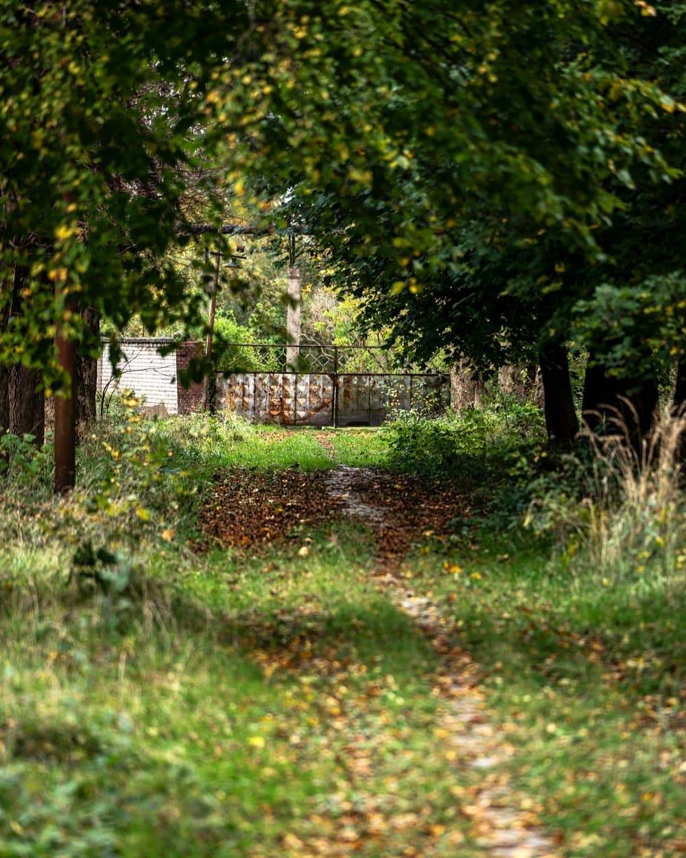 Abandoned military unit in Gorodkovo (Kaliningrad region) - Kaliningrad, Kaliningrad region, Story, The photo, Military unit, Longpost