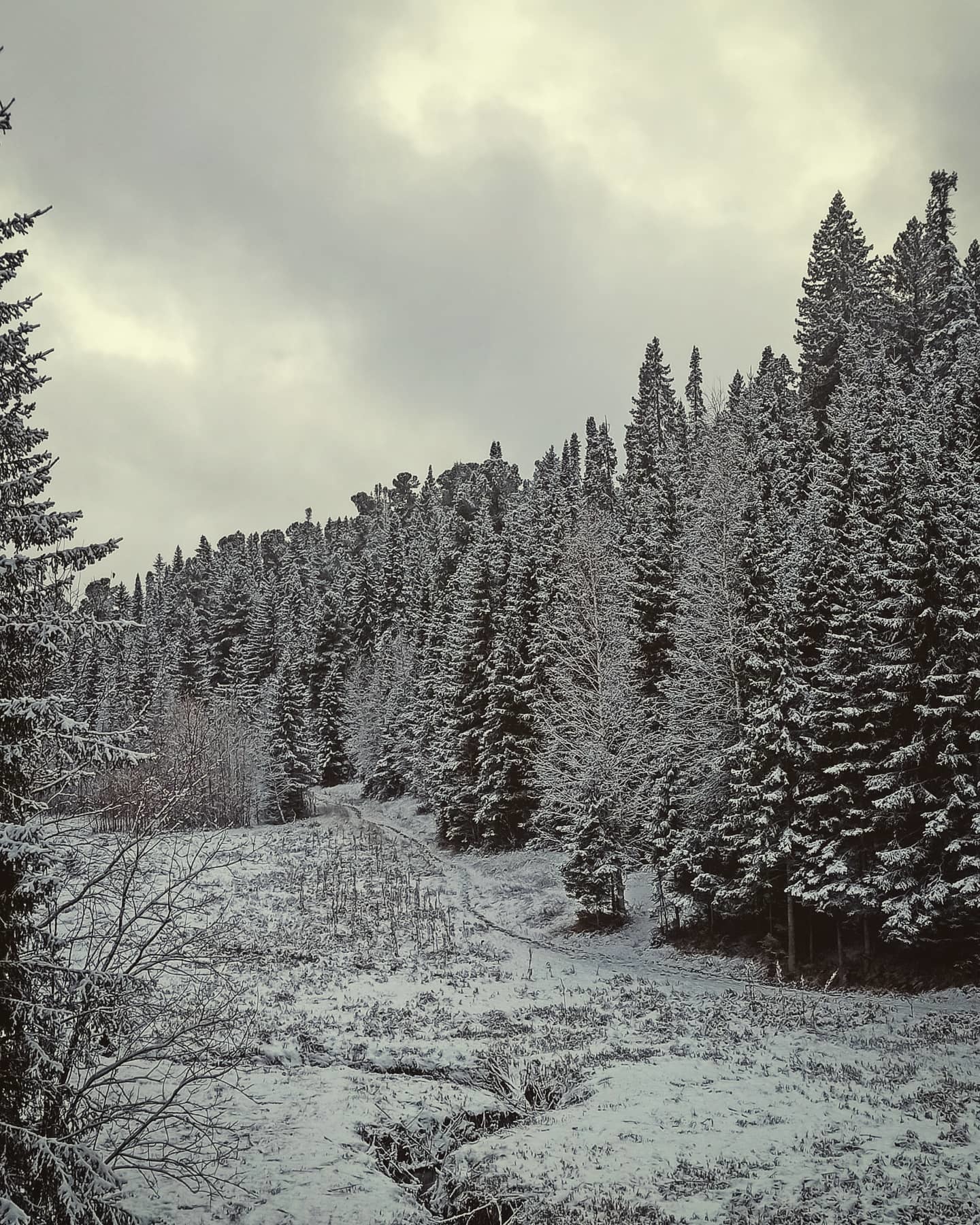 Осенние прогулки 5 - Моё, Ханты-Мансийск, Осень, Природа, Мобильная фотография, Город, Длиннопост