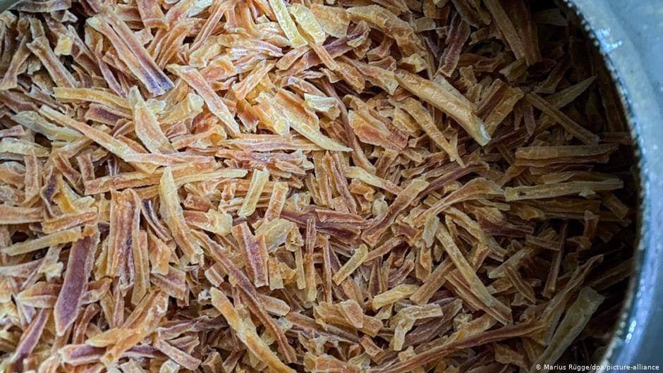 A resident of Bielefeld, Germany, Marius Rugge found boxes of dried potatoes from World War II in the attic of his house. - Germany, Potato, The Second World War, news