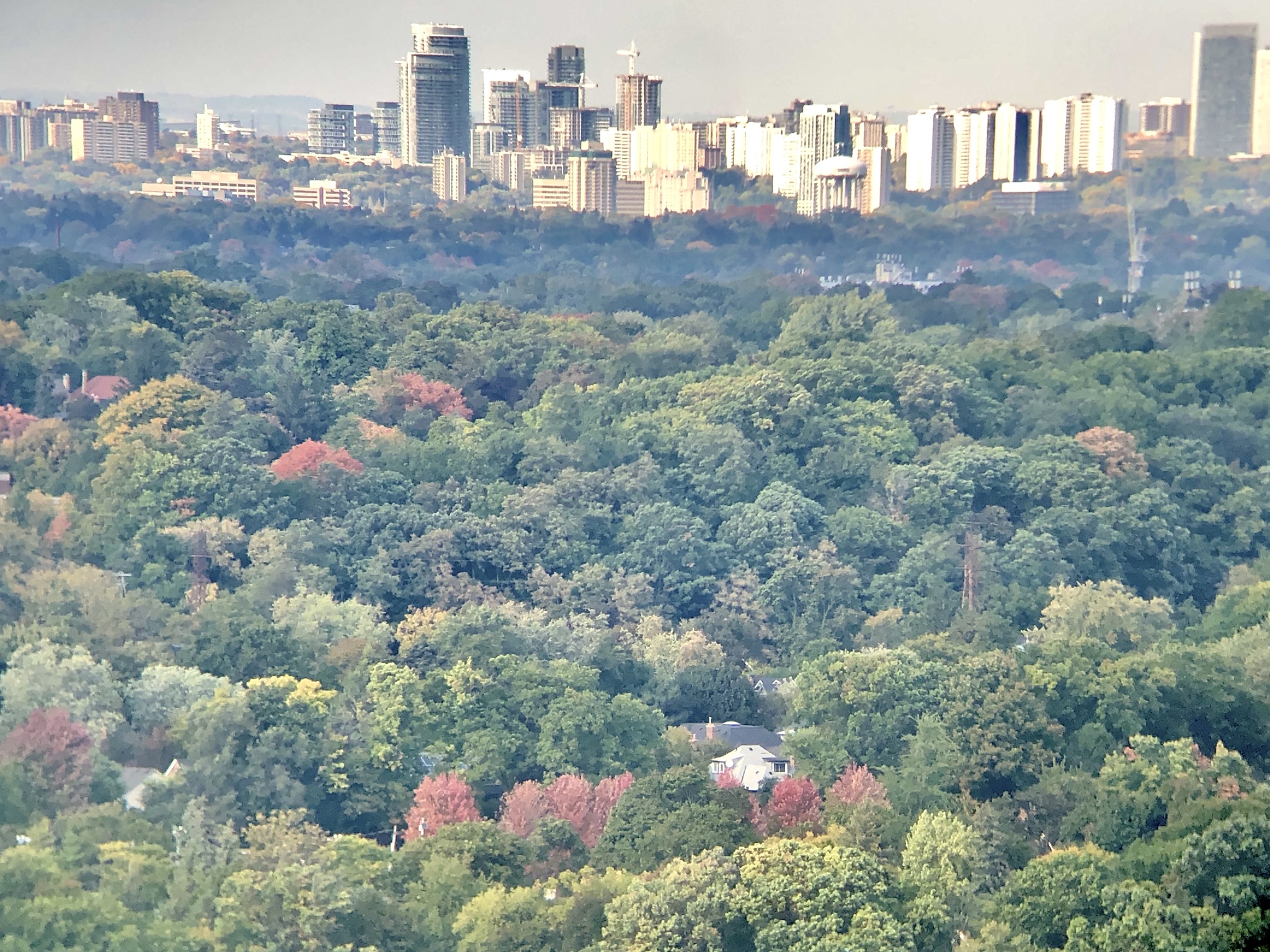 Reply to drago.v in “Life on the 23rd Floor” - My, Height, Sunset, The photo, Canada, Immigration, Toronto, Rainbow, Video, Reply to post, Longpost