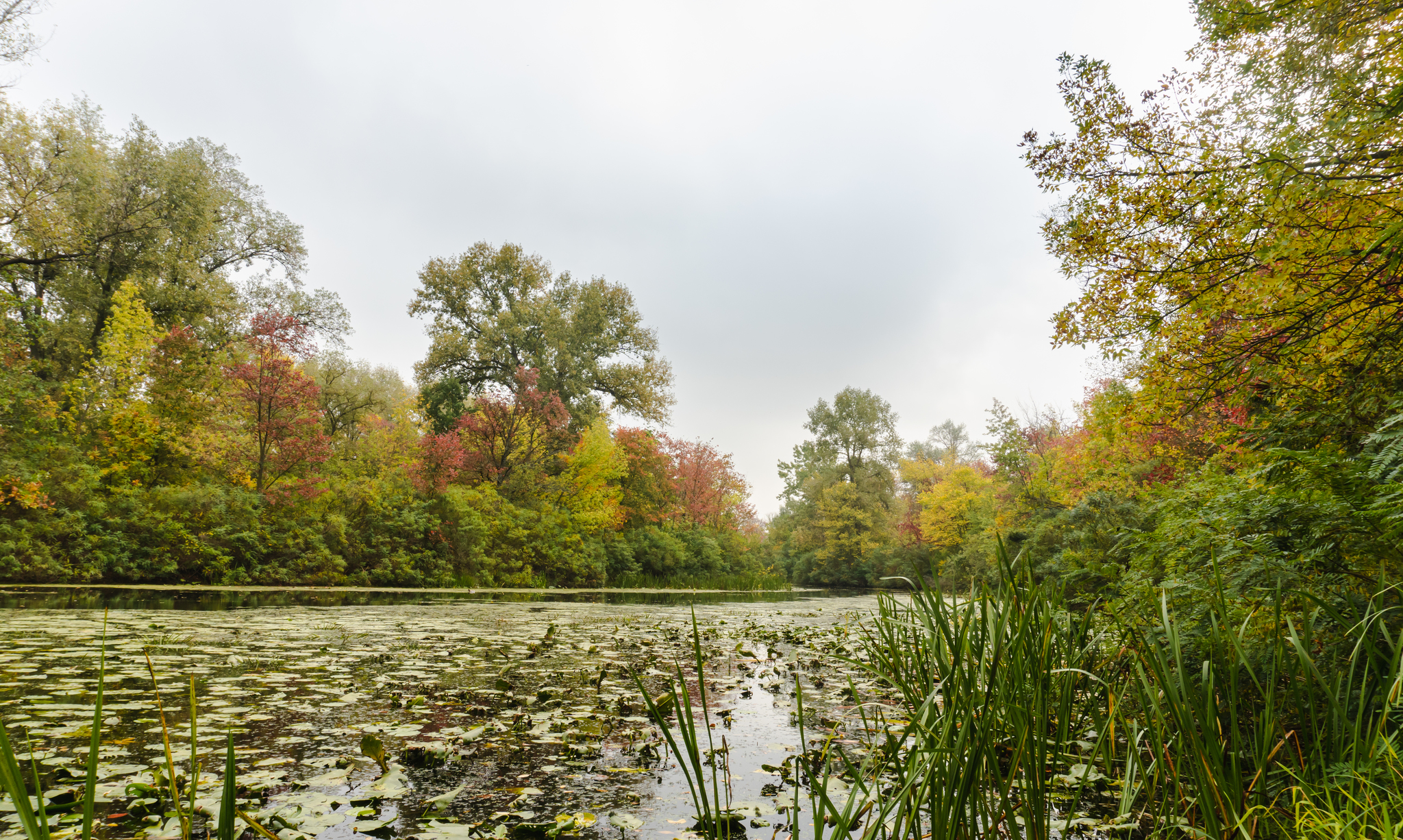 Autumn, Muromets Island, r. Dnieper - My, Nature, wildlife, Autumn, Landscape, Hiking, Longpost