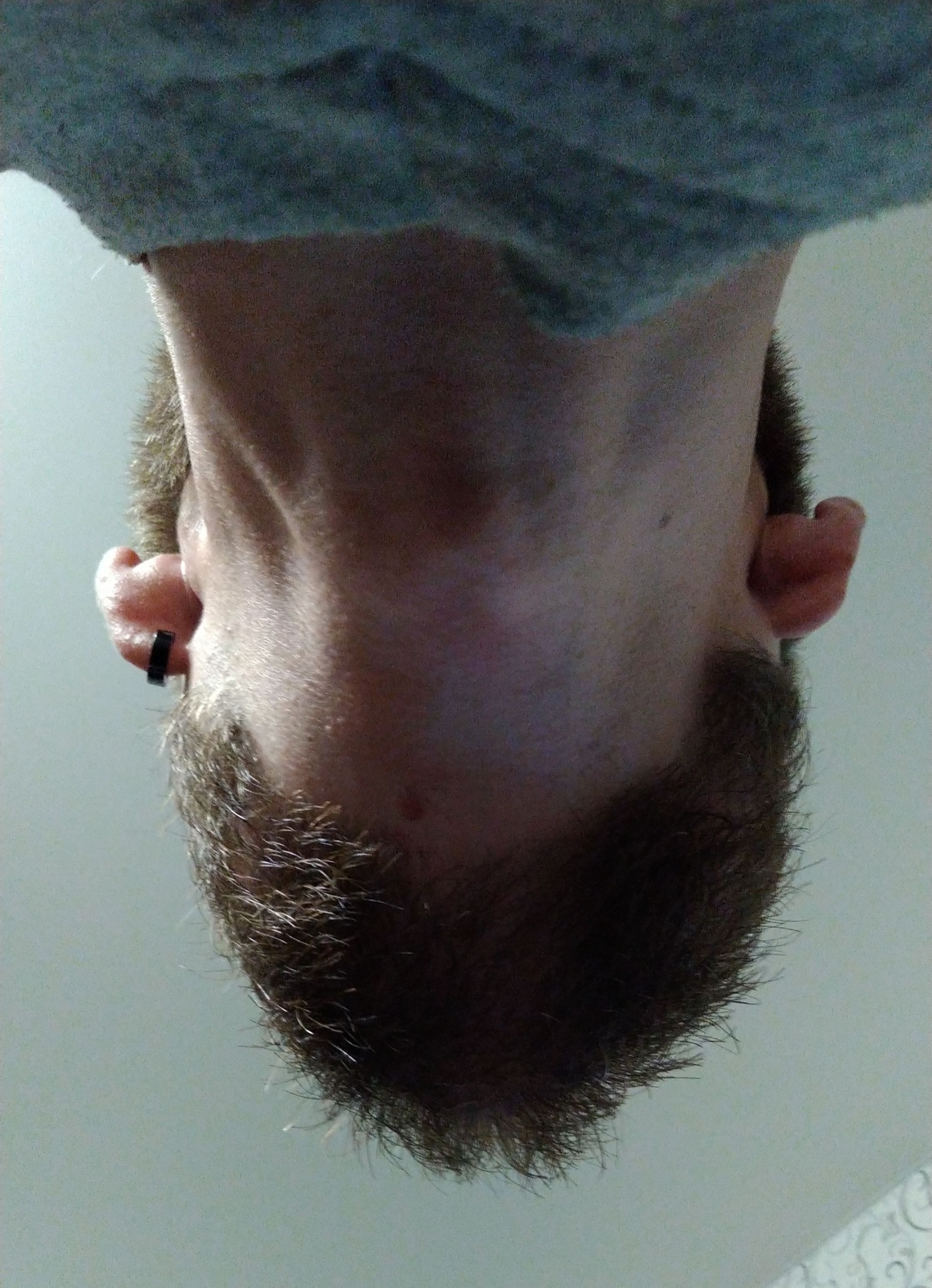 Two-meter bearded man, bottom view - The photo, Beard, Unclear