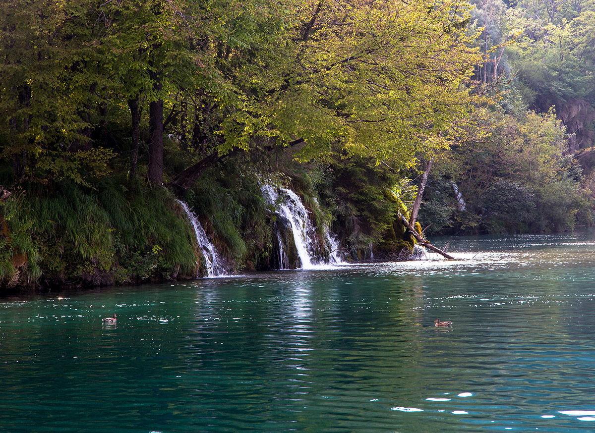 Waterfalls, waterfalls... Photo walker. Croatia - My, Waterfall, Lake, Croatia, Plitvice Lakes, Longpost, Nature