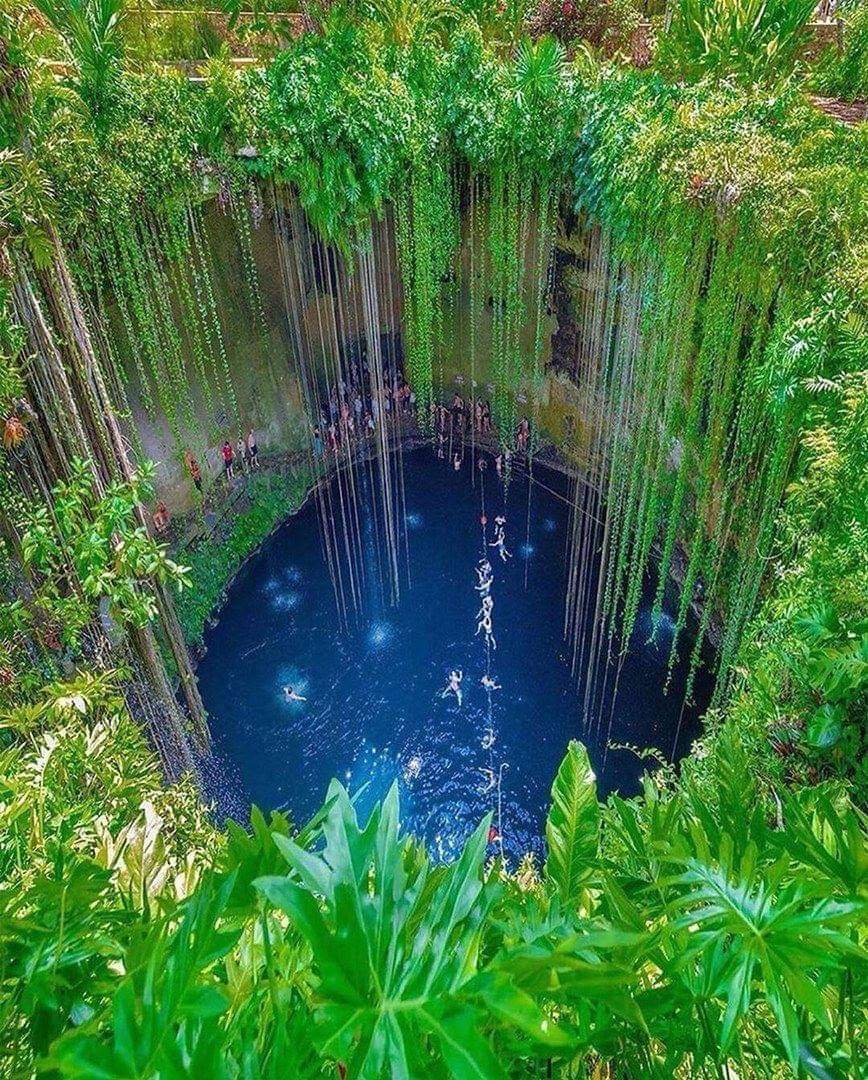 Cenote - Cenotes, Mexico, The photo, Travels