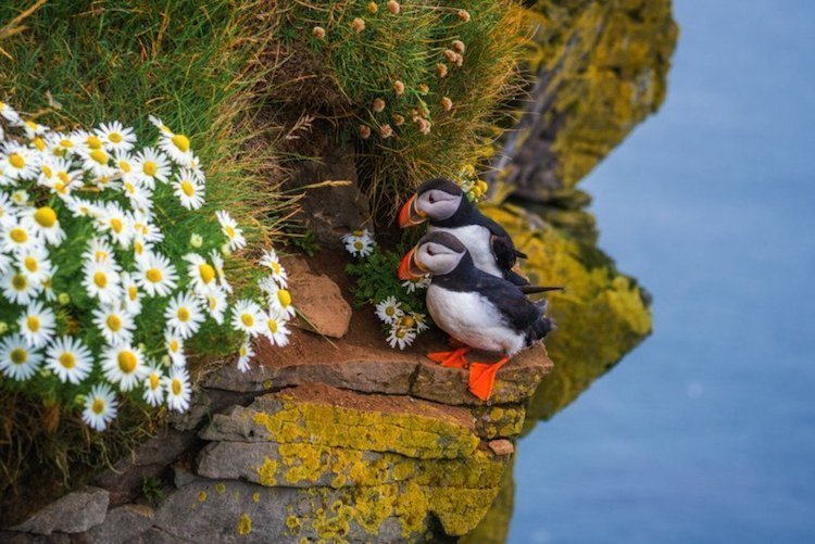 Iceland - a land of unearthly landscapes - Iceland, Travels, beauty, Longpost