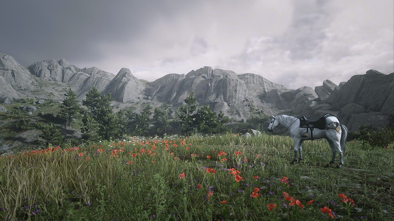 Just a beautiful panorama of RDR2, on a dead map - My, Red dead redemption 2, Screenshot