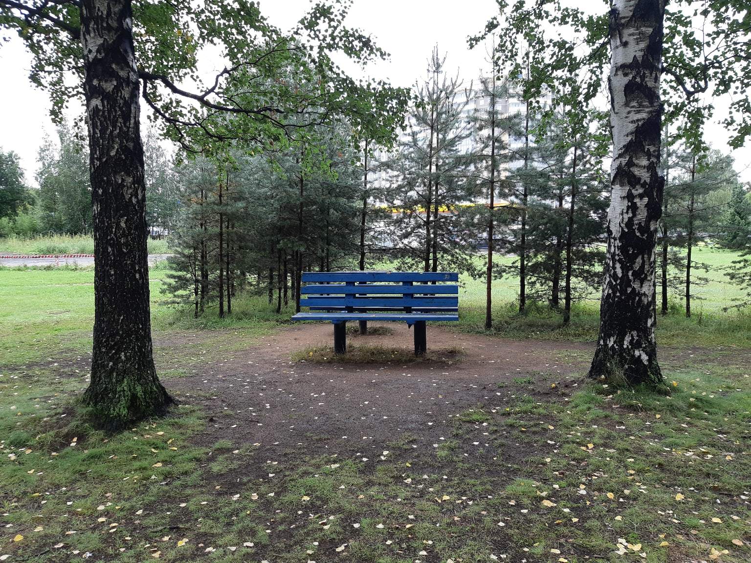 Скамеечное разнообразие Петербурга. Часть 2 - Моё, Скамейки, Санкт-Петербург, Фотография, Лавочка, Длиннопост