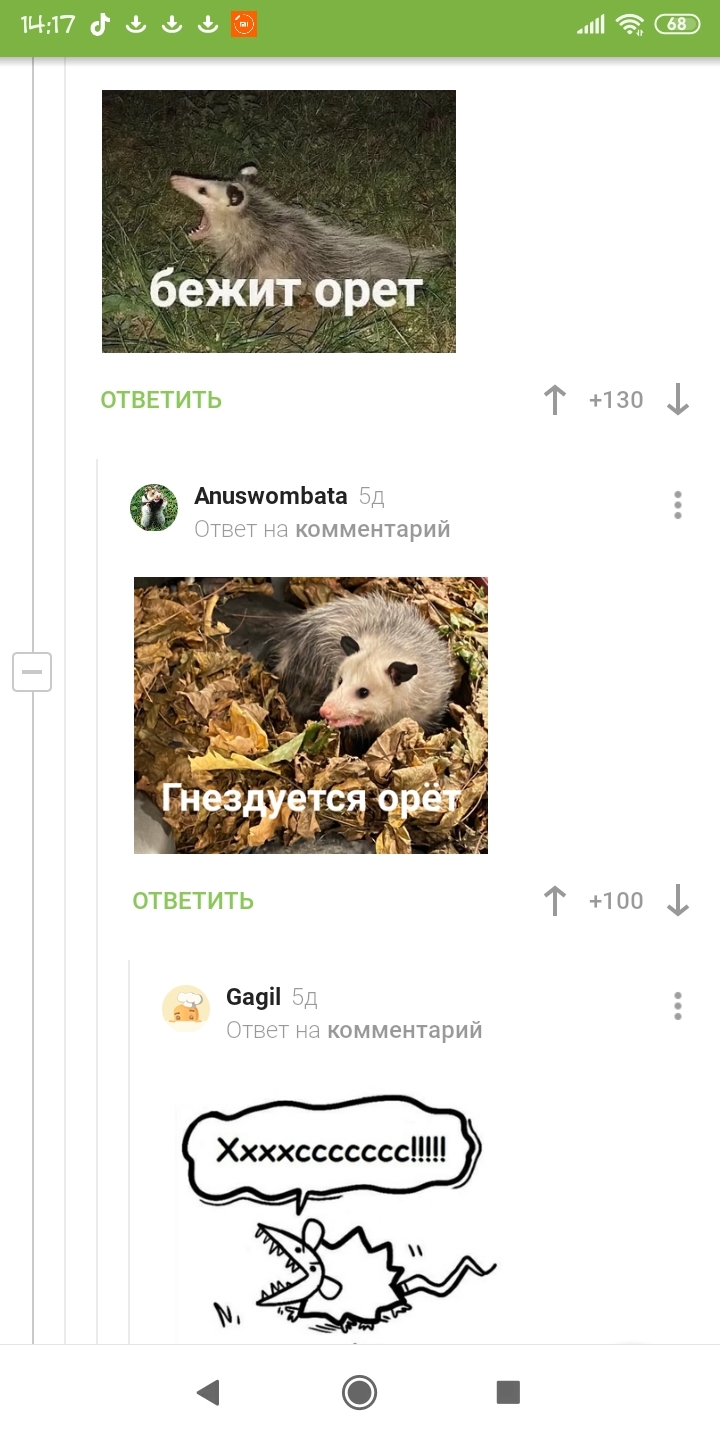 Briefly about possums - Humor, Comments, Opossum, Longpost, Comments on Peekaboo, Screenshot