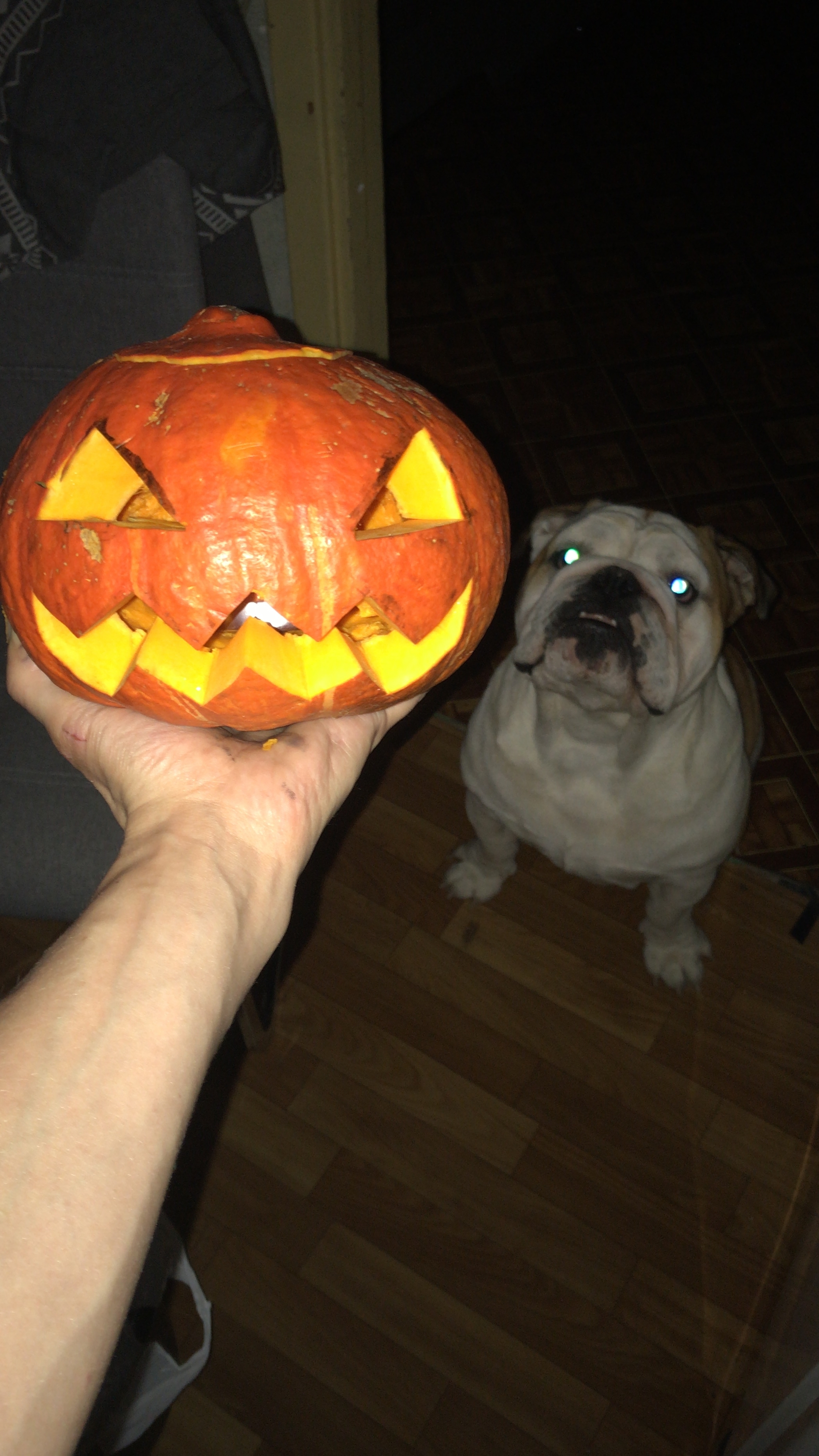 Jack's pumpkin cutter or everything for the joy of the family ;) - My, Halloween Contest, Saint Petersburg, Longpost, Pumpkin, Halloween pumpkin