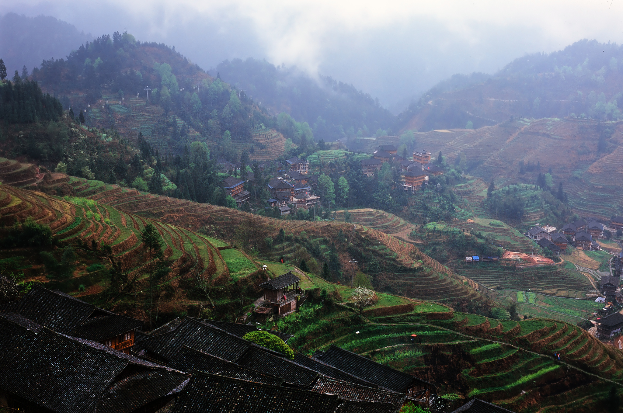 China: Longji Rice Terraces - My, China, Guilin, Rice terraces, Travels, The photo, Bird photography, Longpost