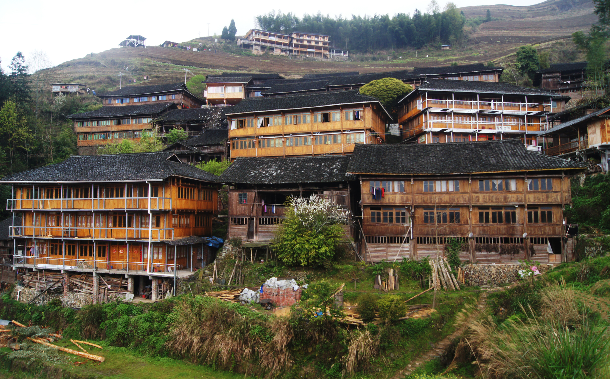 China: Longji Rice Terraces - My, China, Guilin, Rice terraces, Travels, The photo, Bird photography, Longpost