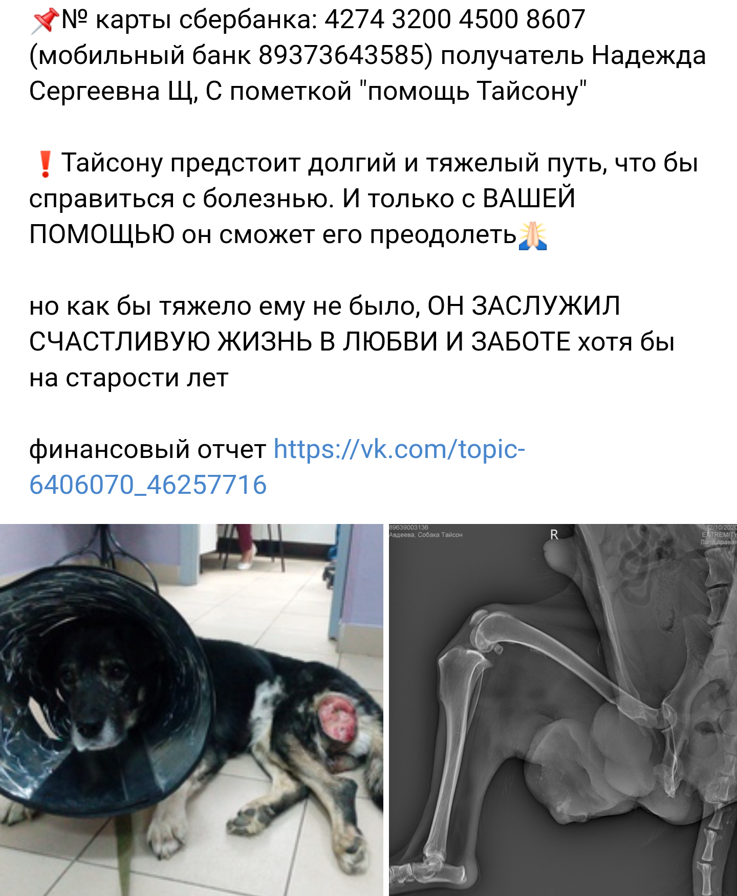 Let's help the dog, Ufa! - Good deeds, Help, Animal Rescue, Donations, No rating, Longpost, Dog