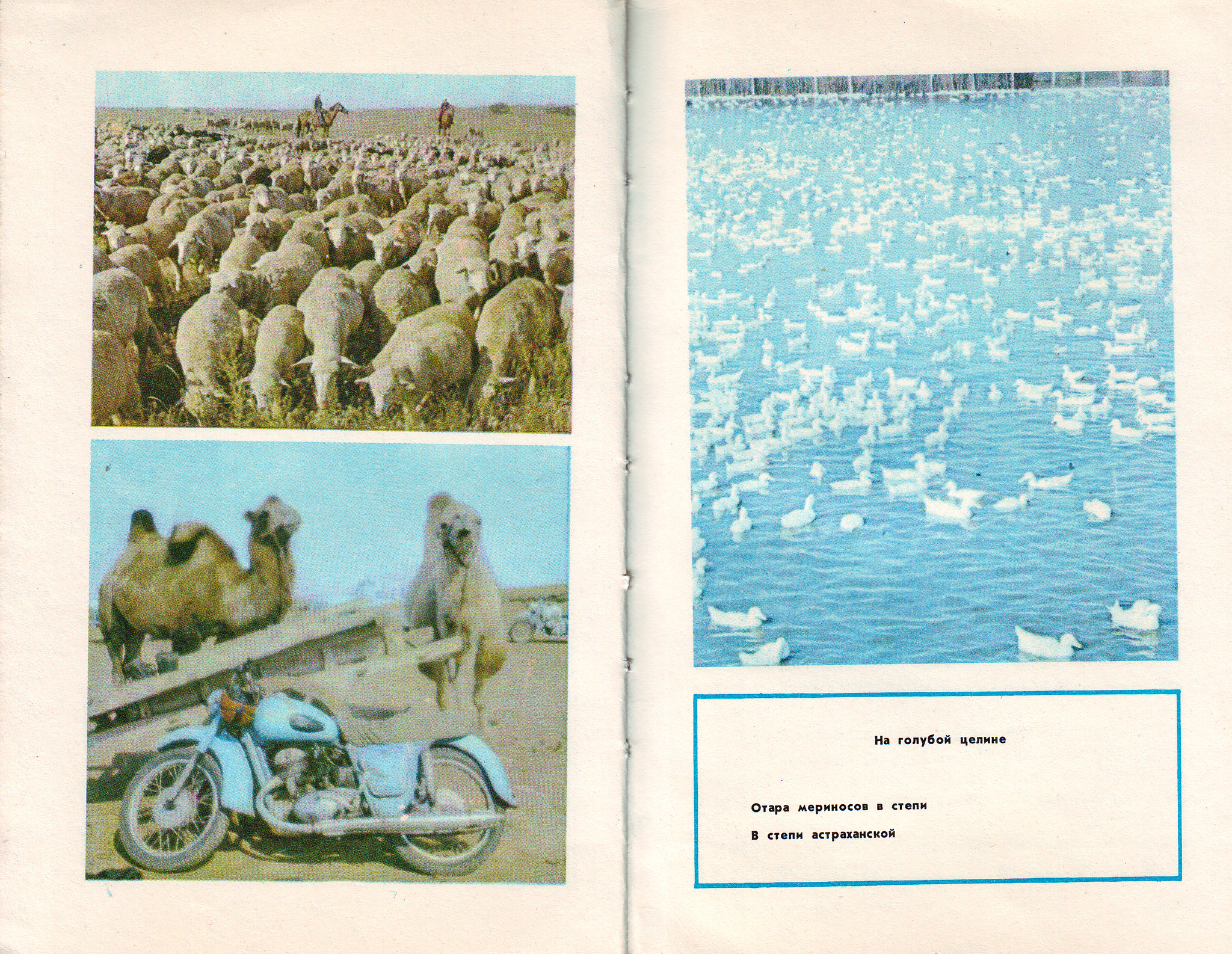 Photos from a guide to Astrakhan and the region (1979) - Astrakhan, The photo, the USSR, Guide, Longpost