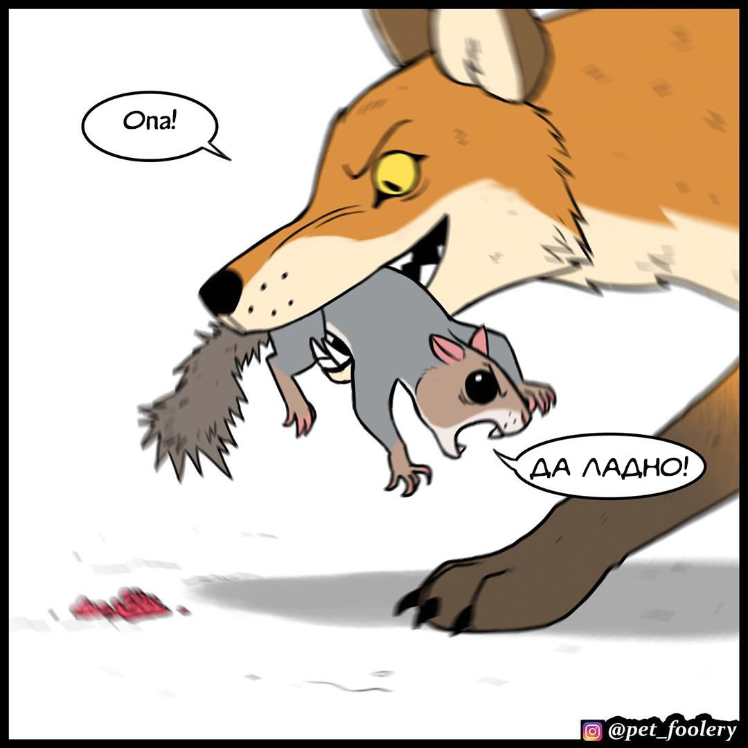 Oops! - Pet foolery, Comics, Squirrel, Longpost