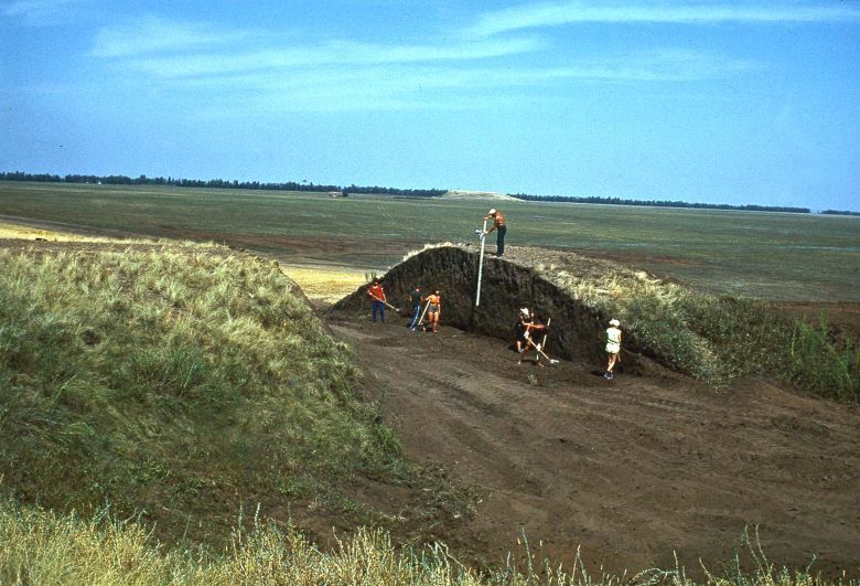 Analysis of the contents of Sarmatian pottery from the royal burial ground Filippovka-1 - My, Archeology, Archaeologists, Archaeological finds, Story, Sarmatians, Find, The science, Ancient world, Longpost