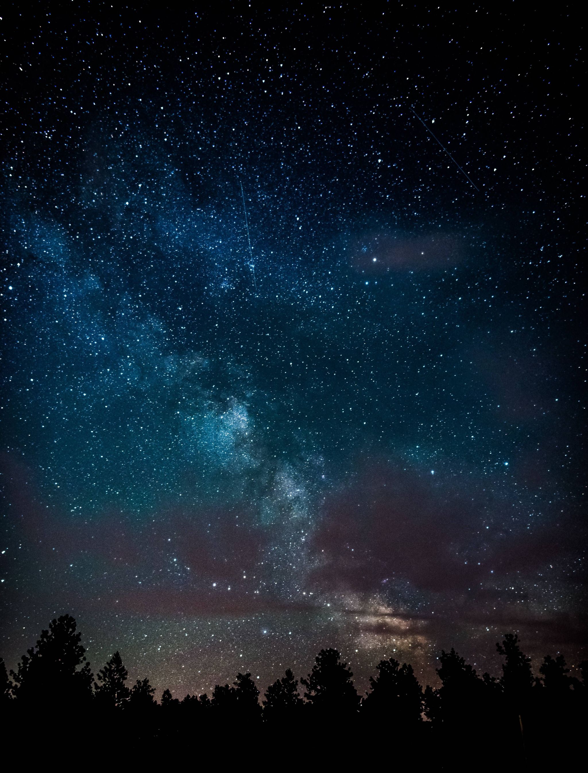 Camping cinema - My, Children, Hike, Starry sky, Constellations, Crimea