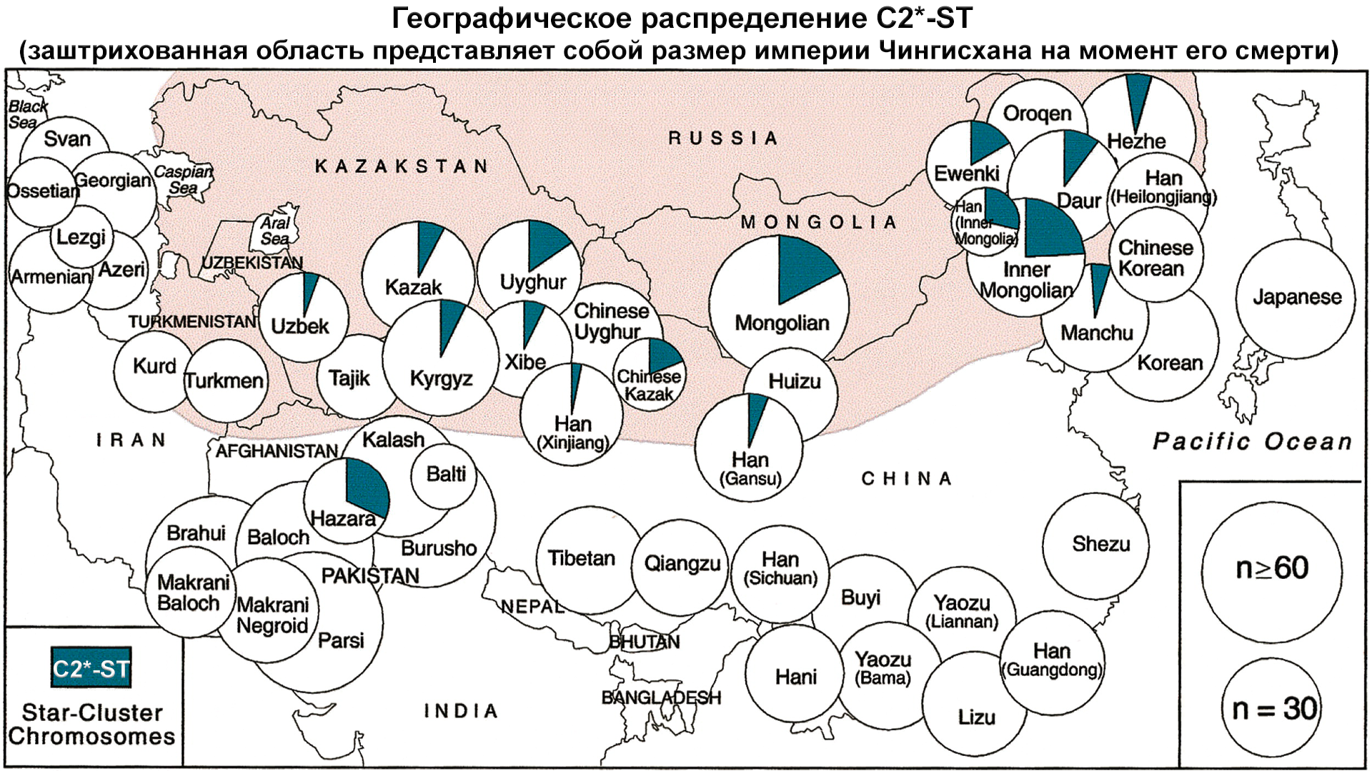 Происхождение казахов Старшего жуза с точки зрения генетики - Моё, История, Казахи, Наука, Казахстан, Генетика, Популяционная генетика, Видео, Длиннопост, Исследования