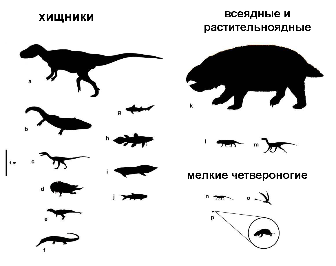 Лисовиция - Палеонтология, Синапсиды, Наука, Копипаста, Elementy ru, Эволюция, Длиннопост