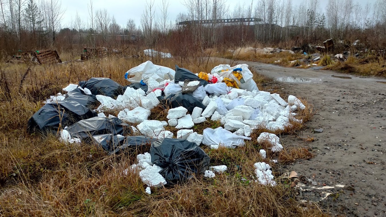 Десять несанкционированных свалок обнаружено у Красавинского моста в Перми - Моё, Политика, Экология, Длиннопост