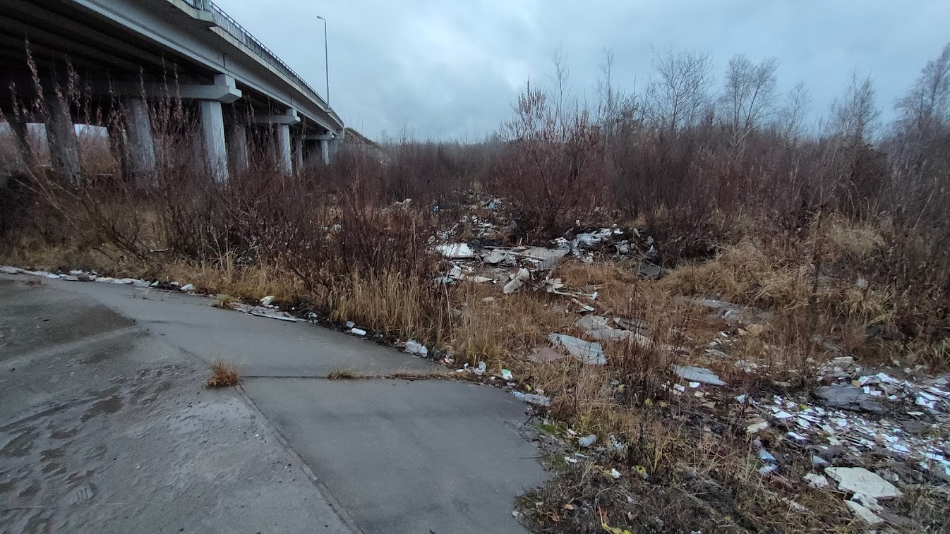 Десять несанкционированных свалок обнаружено у Красавинского моста в Перми - Моё, Политика, Экология, Длиннопост