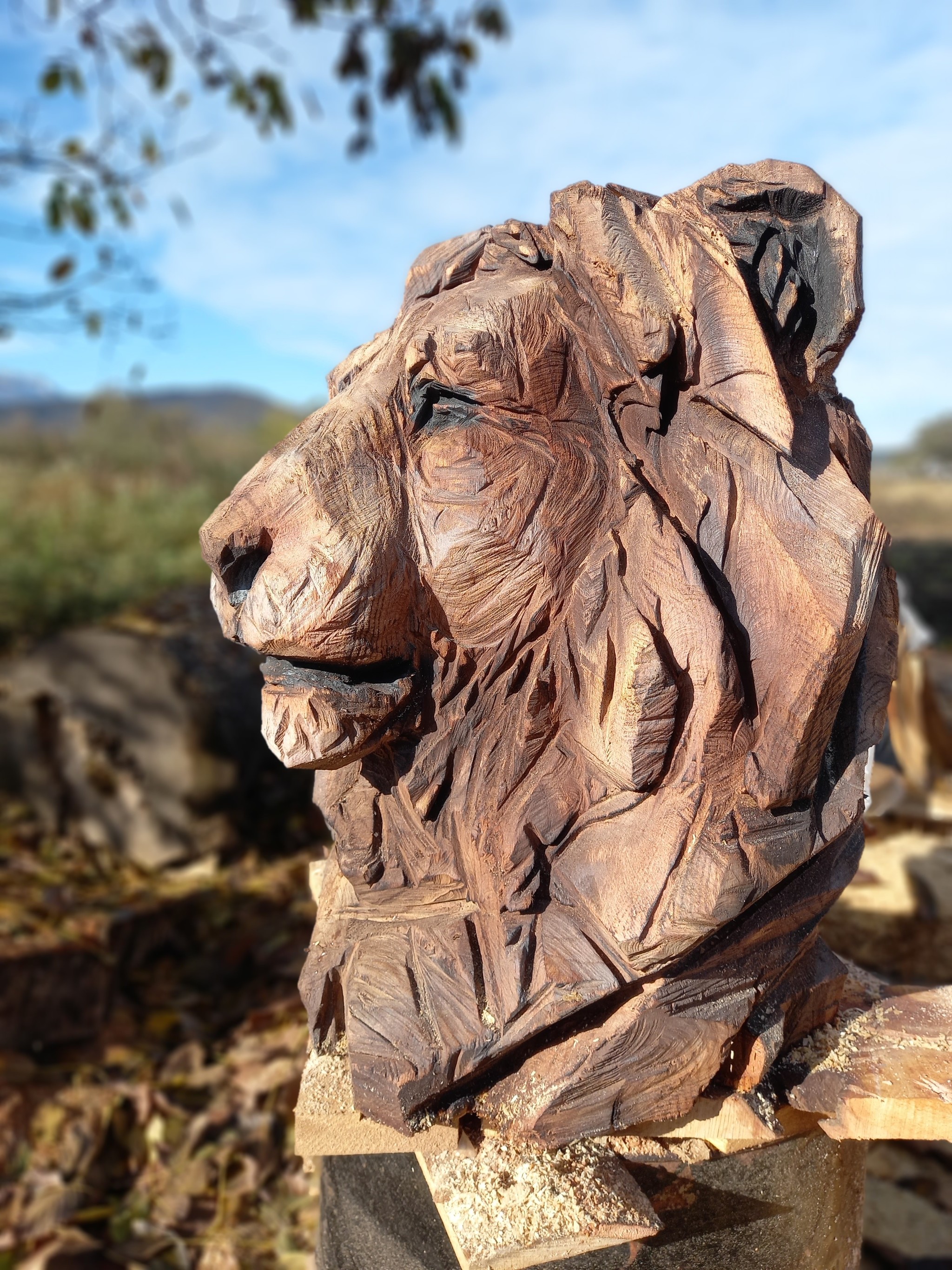 Скульптурная резьба по дереву- увлекательное хобби, помогающее создавать красивые сувенирные работы