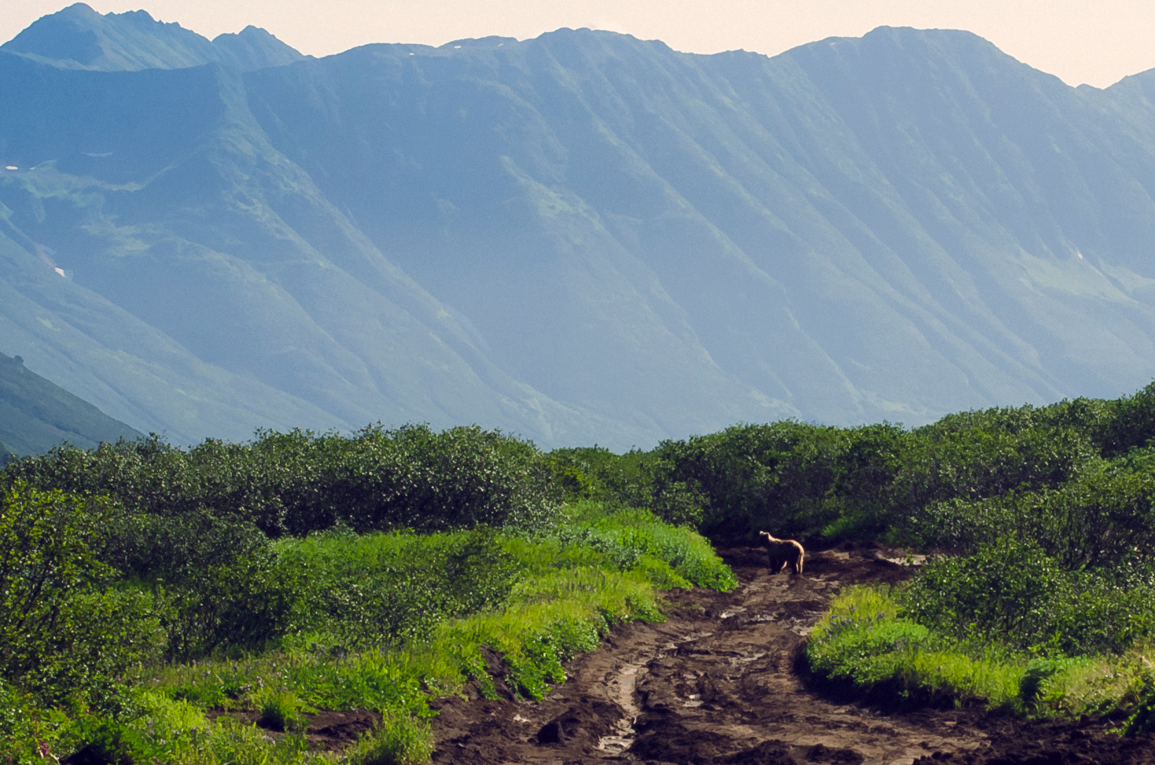 A story about our family trip to Kamchatka. Part 2 - My, Kamchatka, Hike, Travel across Russia, Travels, Tourism, Mountain tourism, Russia, The mountains, Longpost, Text, The photo, Nature, The nature of Russia