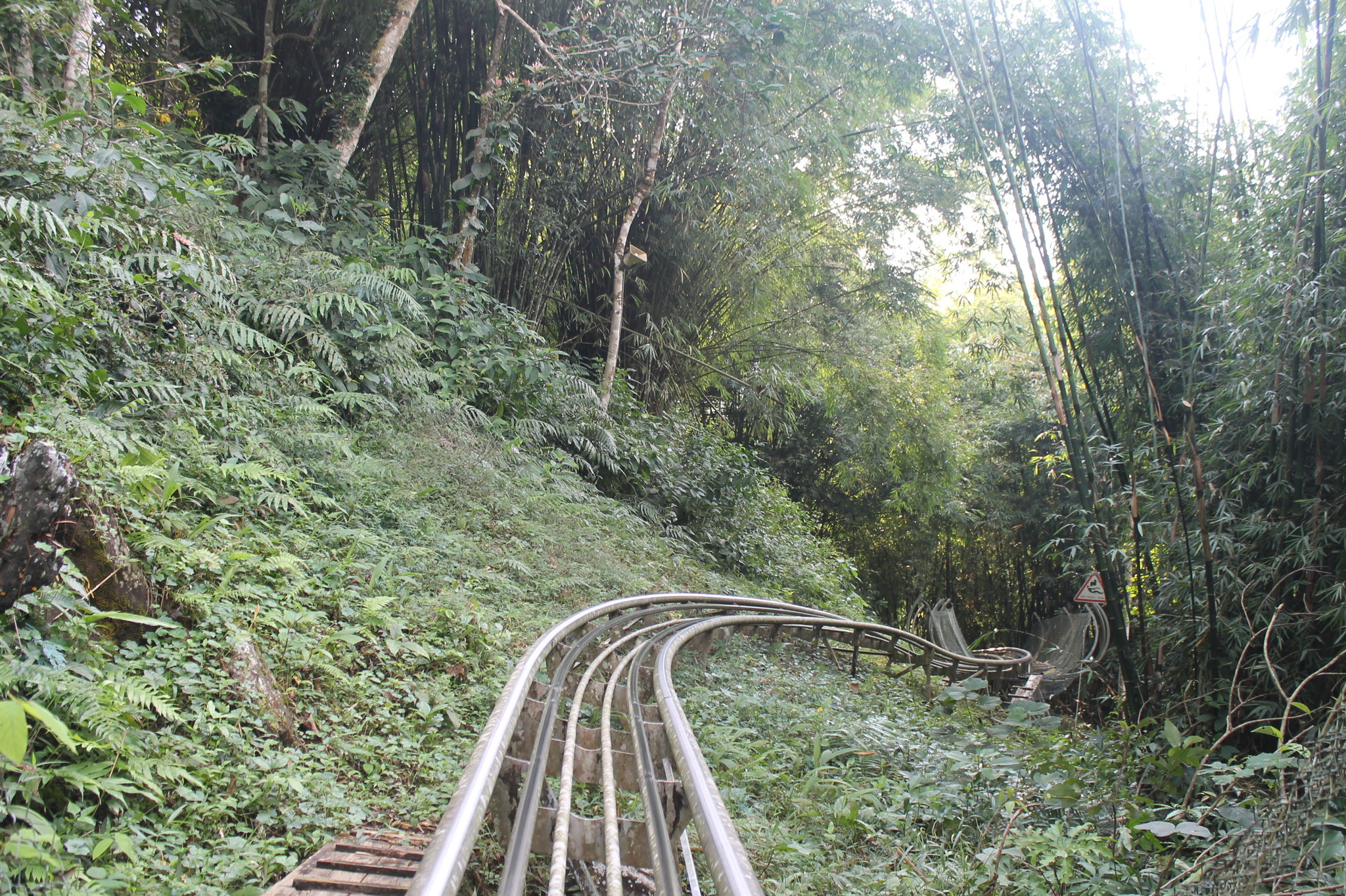 Dambri Park - waterfalls in the jungle. Vietnam - My, Vietnam, Asia, Travels, Nature, Longpost