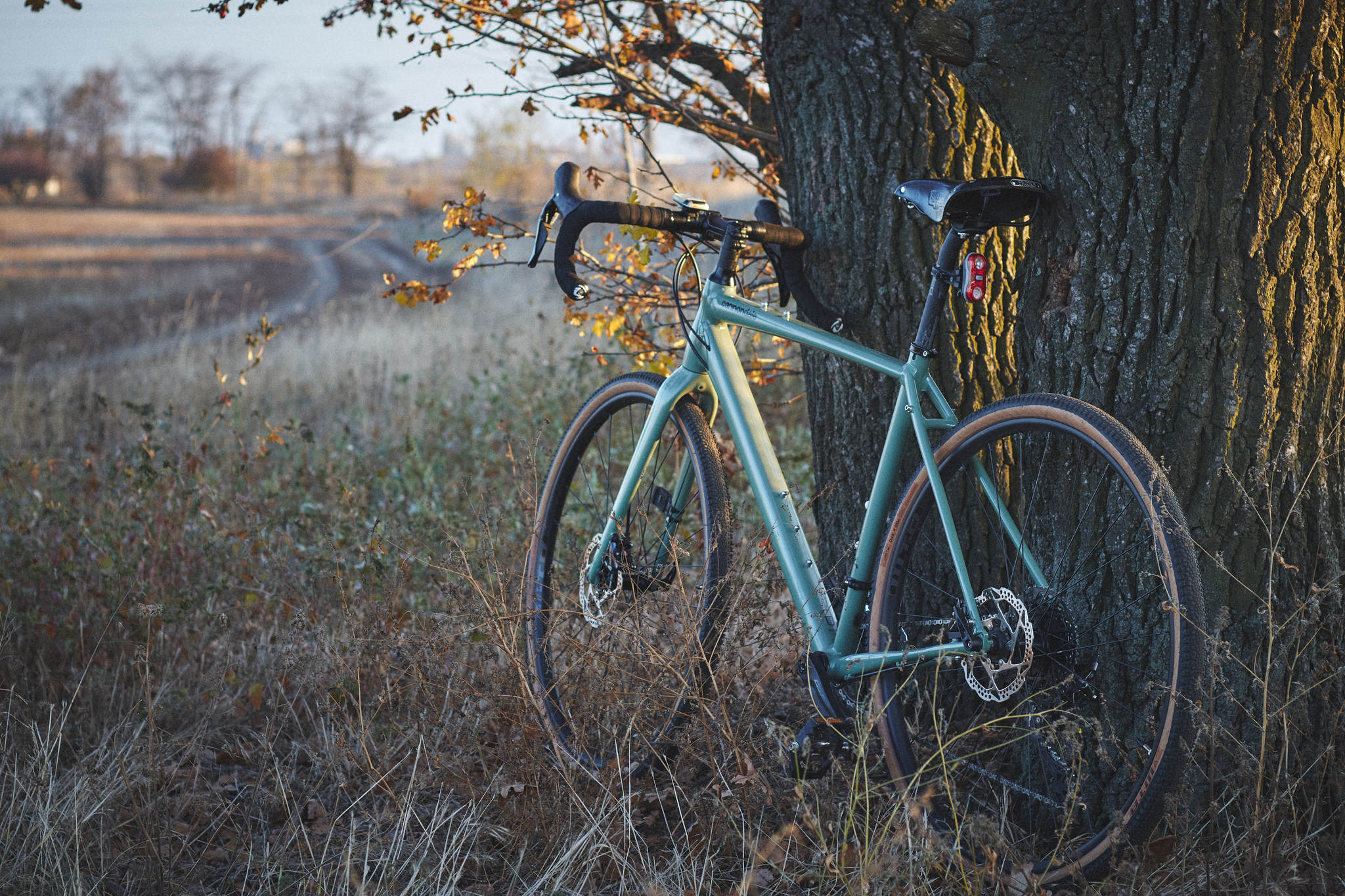 Autumn weekend ride - My, Autumn, A bike, Pokatushki, Nature, The photo, Longpost