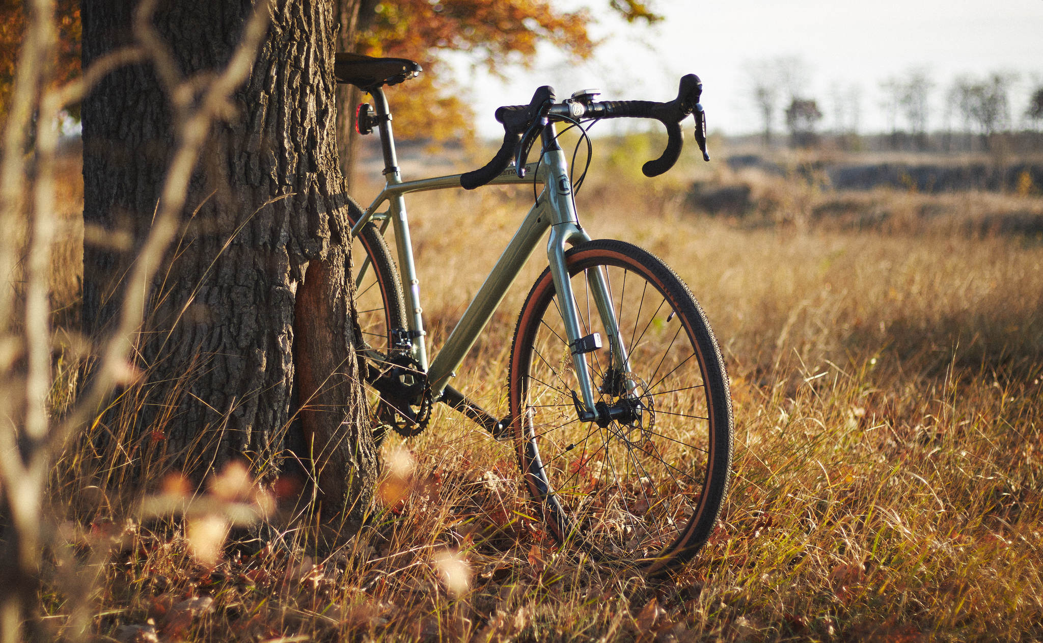 Autumn weekend ride - My, Autumn, A bike, Pokatushki, Nature, The photo, Longpost