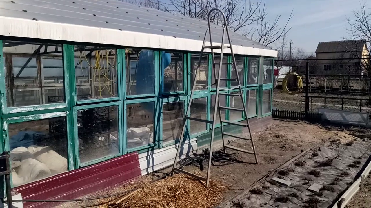 Greenhouse from windows - My, Greenhouse, Homemade, Window, Longpost