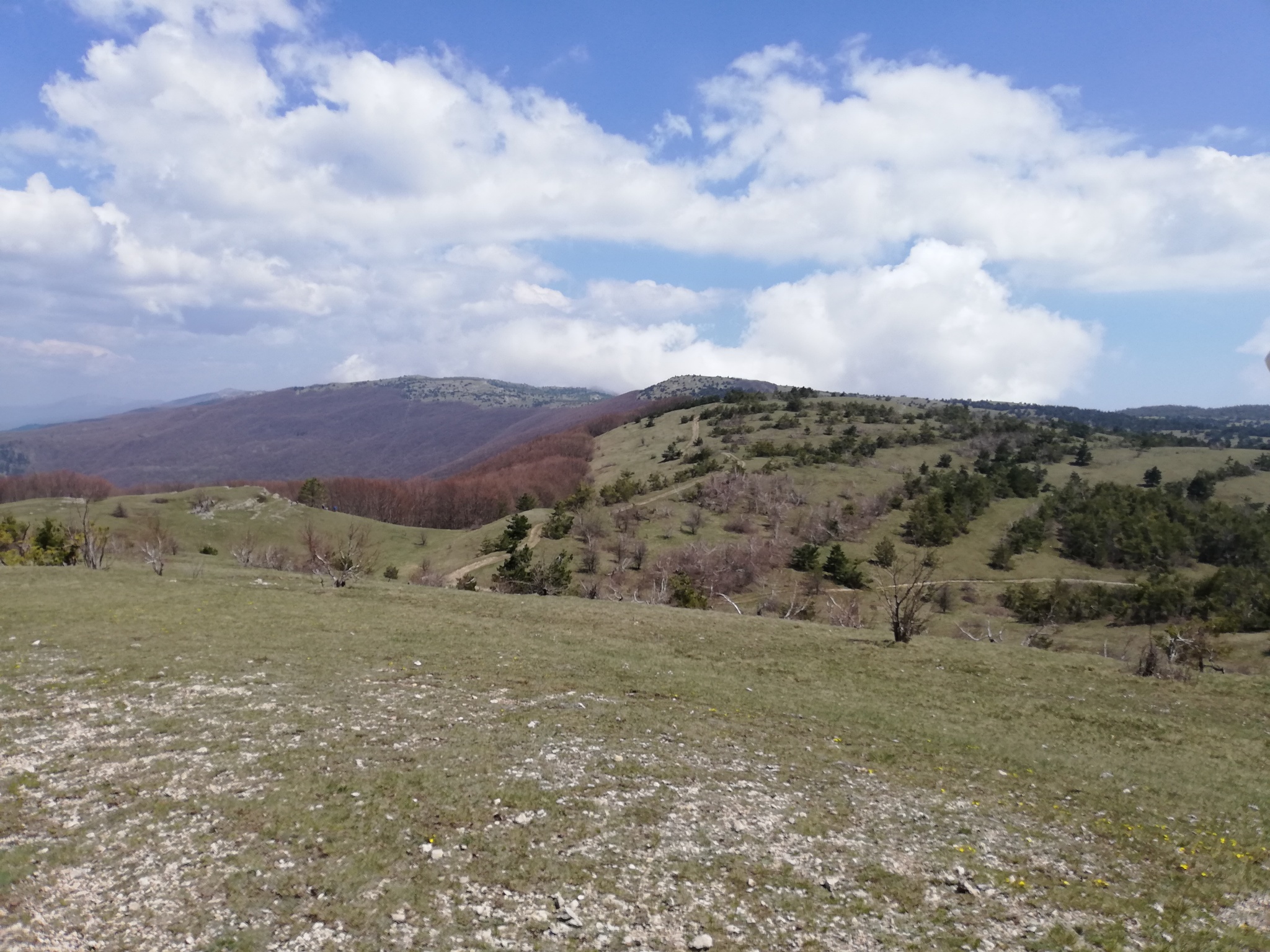 Crimea 2019. Day 10. Taraktash and a steep path - My, Crimea, Taraktash, Ai-Petri, Hike, The mountains, Sea, Mat, Longpost