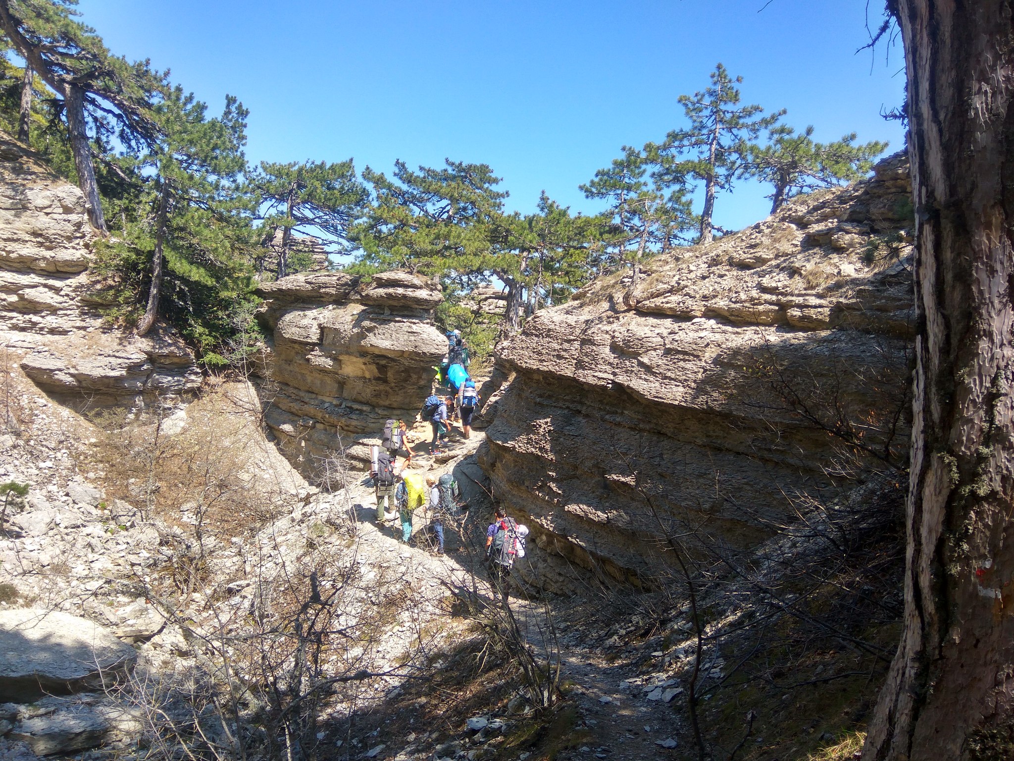 Crimea 2019. Day 10. Taraktash and a steep path - My, Crimea, Taraktash, Ai-Petri, Hike, The mountains, Sea, Mat, Longpost