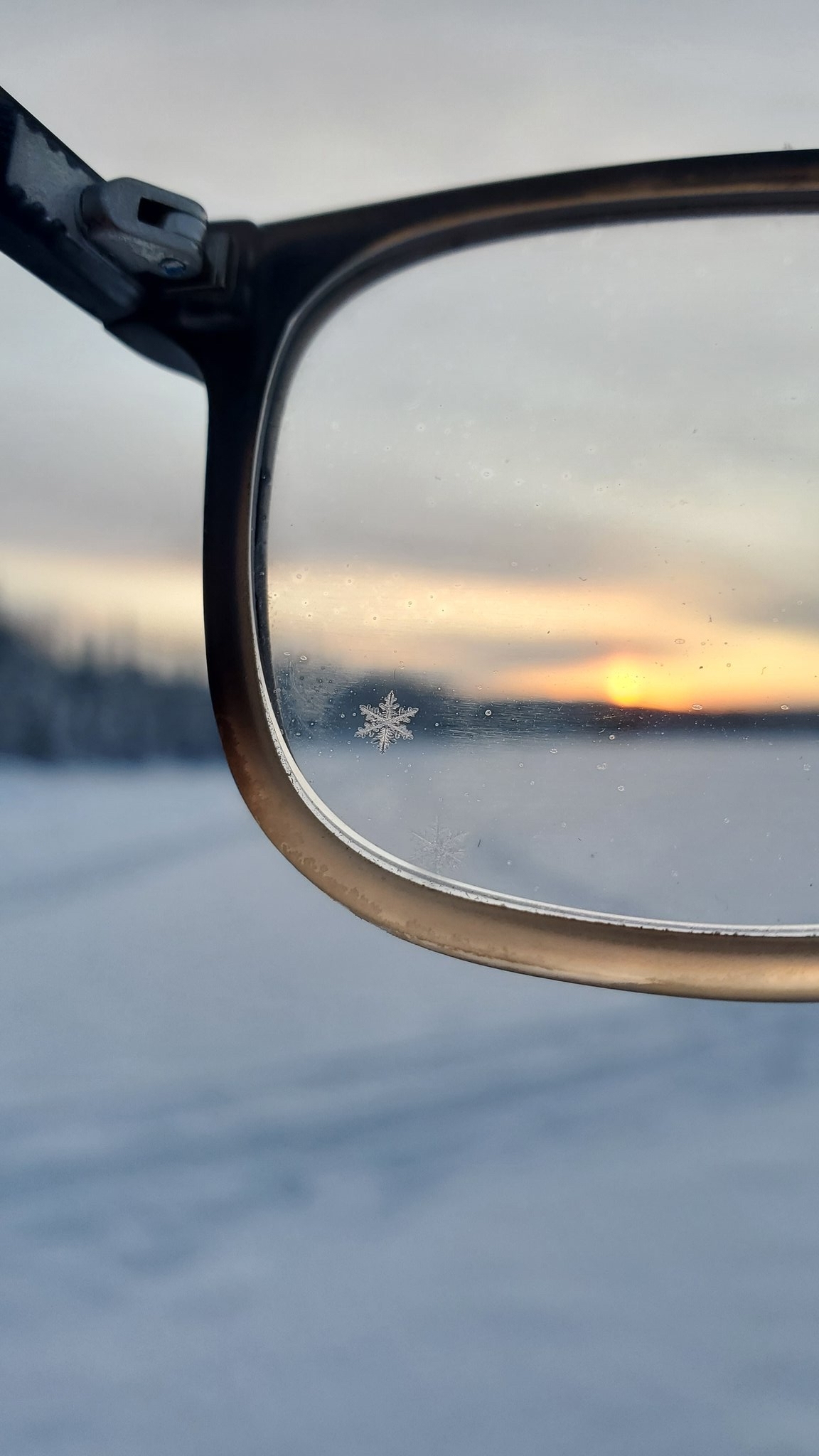 The winter is coming - Reddit, The winter is coming, The photo, Snowflake, Glasses