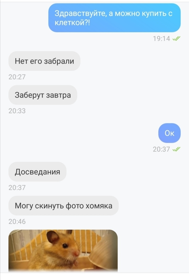 Нелепые Смерти Хомяка