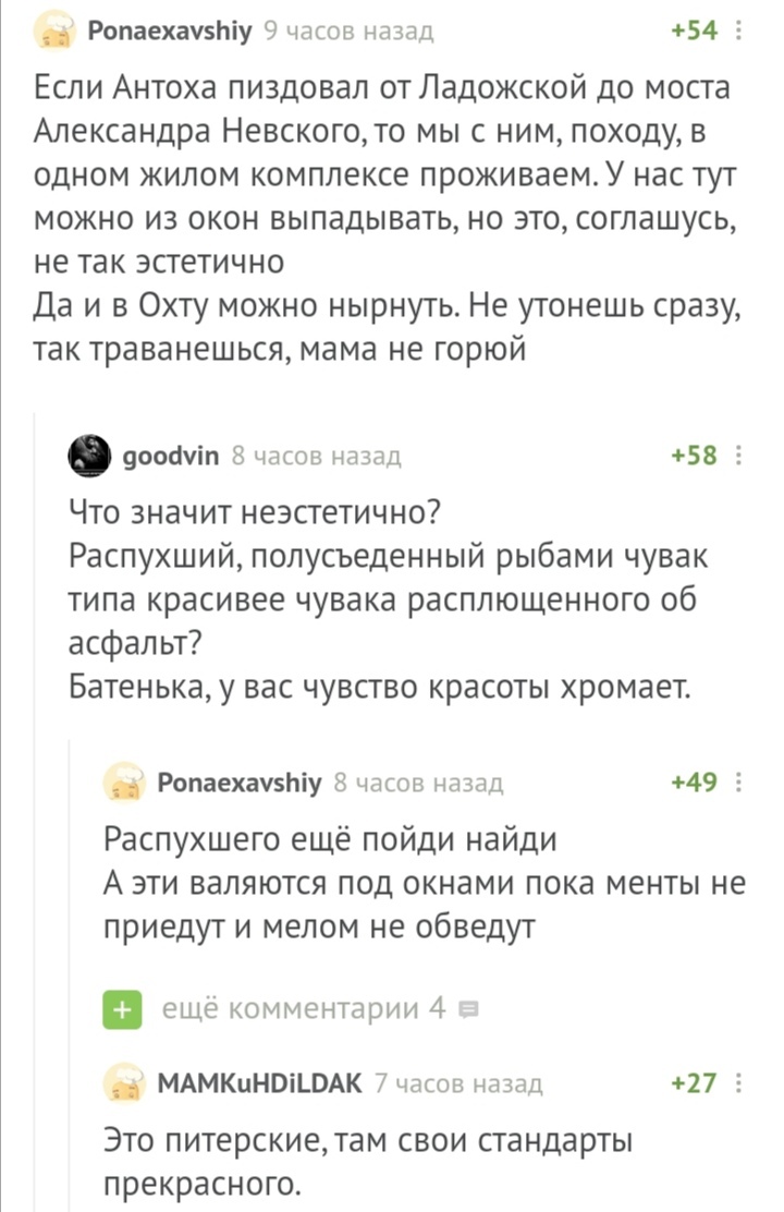 Oh, these St. Petersburg aesthetes - Comments on Peekaboo, Saint Petersburg, Aesthetics, Black humor, Screenshot