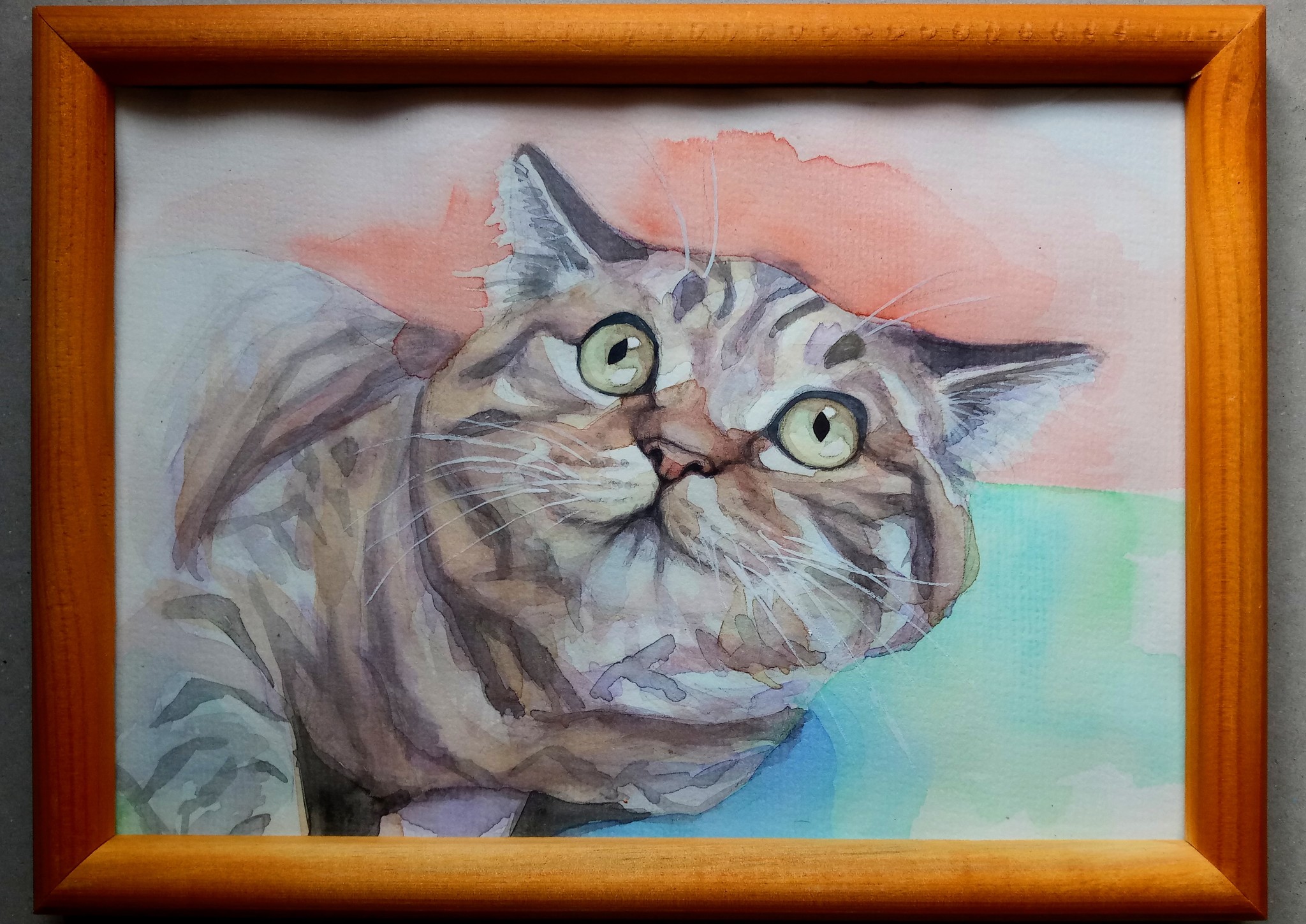 My help to the shelter - My, Watercolor, cat, Help, Animal shelter, Portrait, Drawing, Charity, Longpost