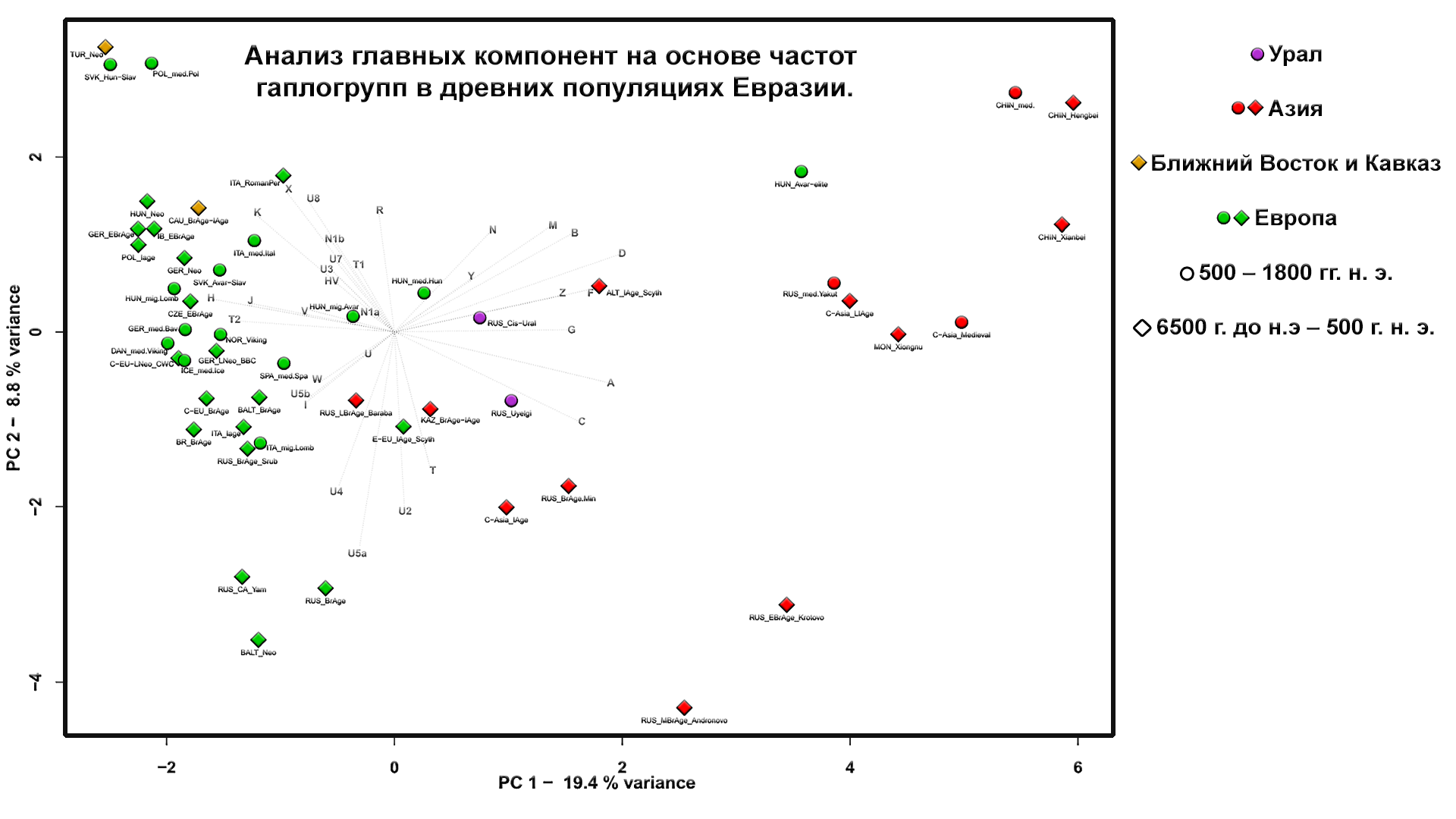 Origin of the Hungarians and the Ural region. History of the Magyars, new genetic data - My, The science, Story, Population genetics, Longpost, Hungarians, Southern Urals, DNA, Video, GIF