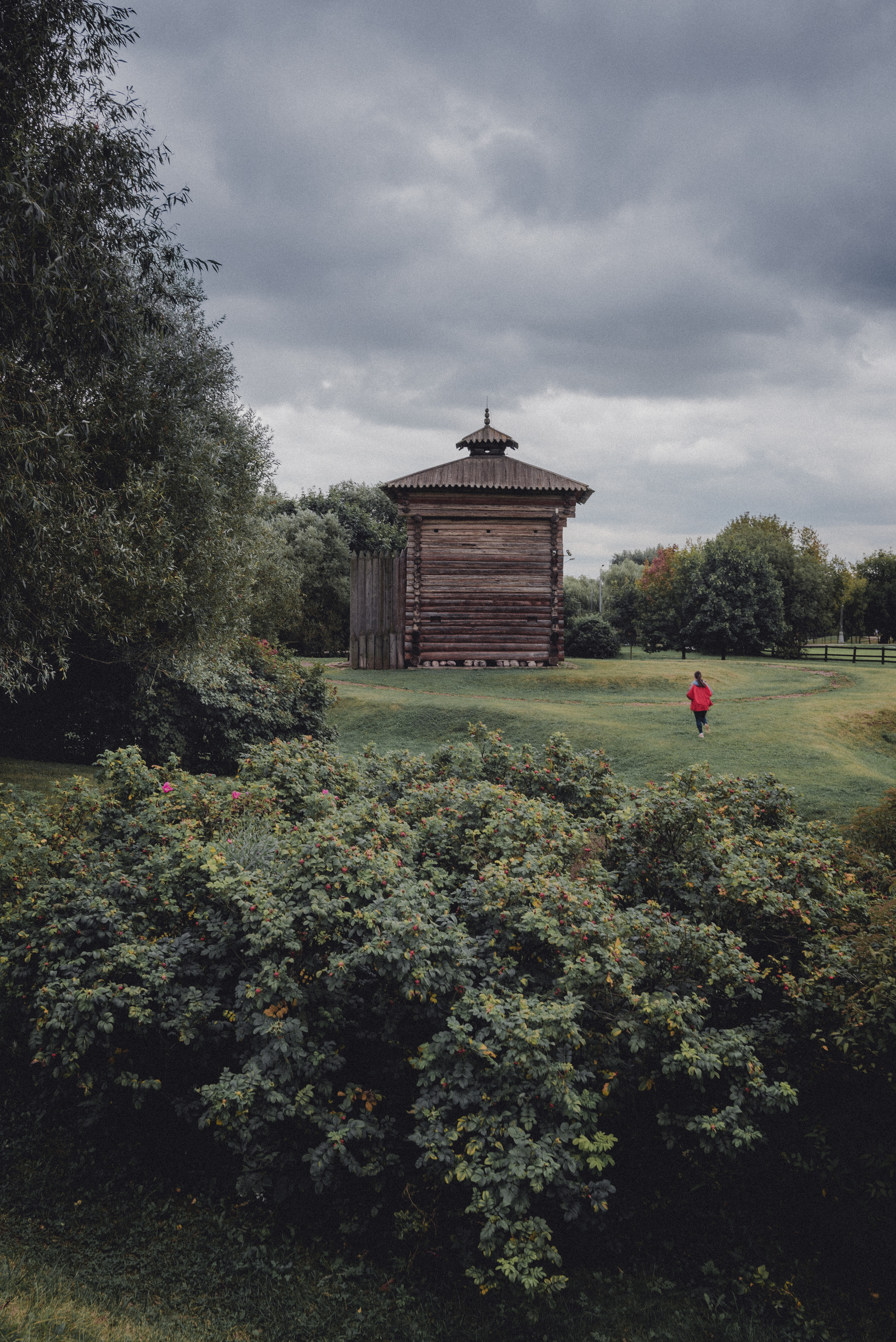 Atmospheric run - My, The park, Run, Atmospheric, Nature, The photo