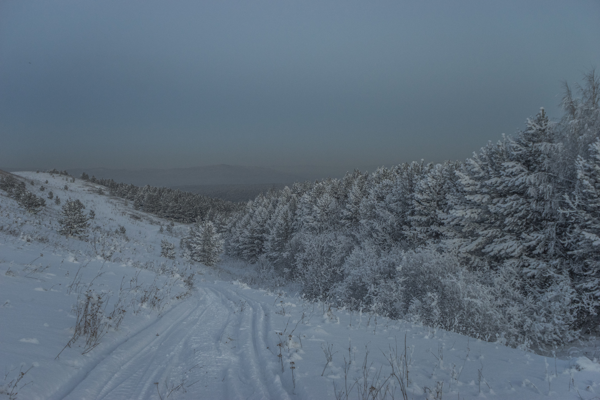 Winter evening in the Urals - My, Winter, Sunset, Ural, Ust-Katav, The mountains, Horses, Forest, Longpost, The photo