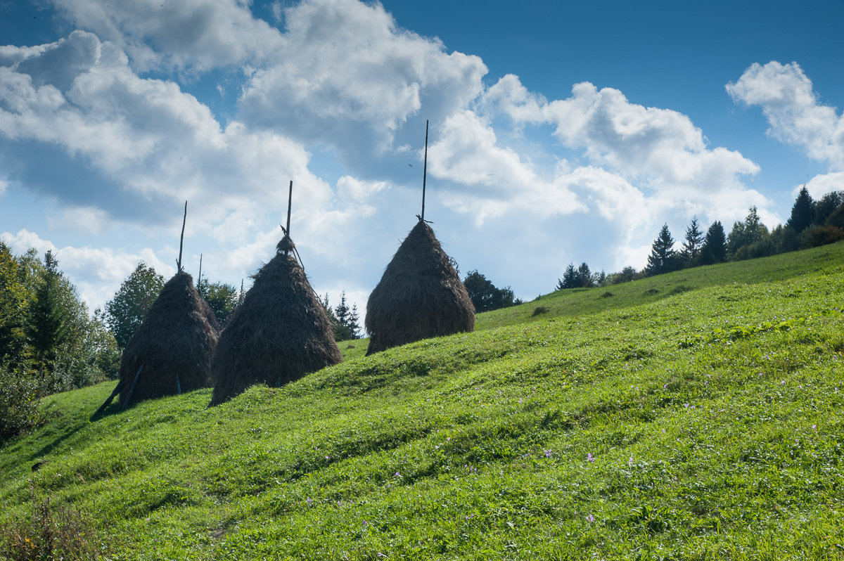 Карпаты. Прогулка с фотоаппаратом  на Буковине и окрестностях. Сентябрь 2018 года - Моё, Гуцулы, Коломыя, Путешествия, Длиннопост