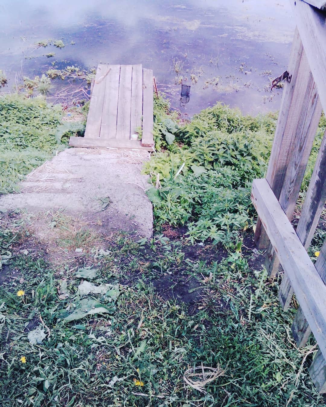 Village - Village, House, Home, Nettle, Bridge, Gangway