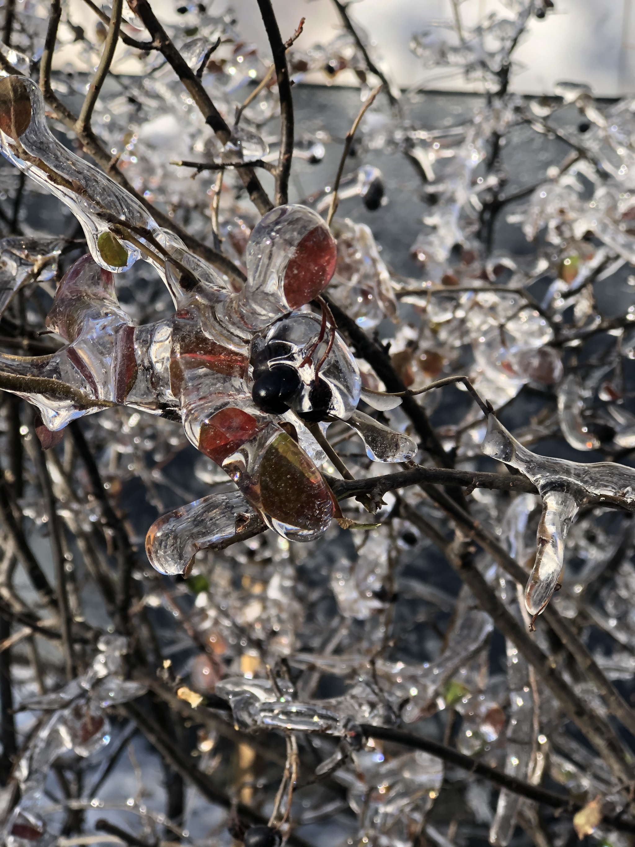 Vladivostok in the ice - My, Winter, Vladivostok, Longpost