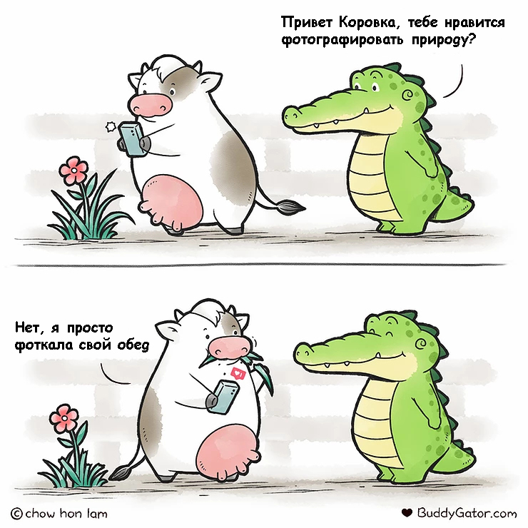 Инста тёлка - Комиксы, Перевел сам, Перевод, Buddygator