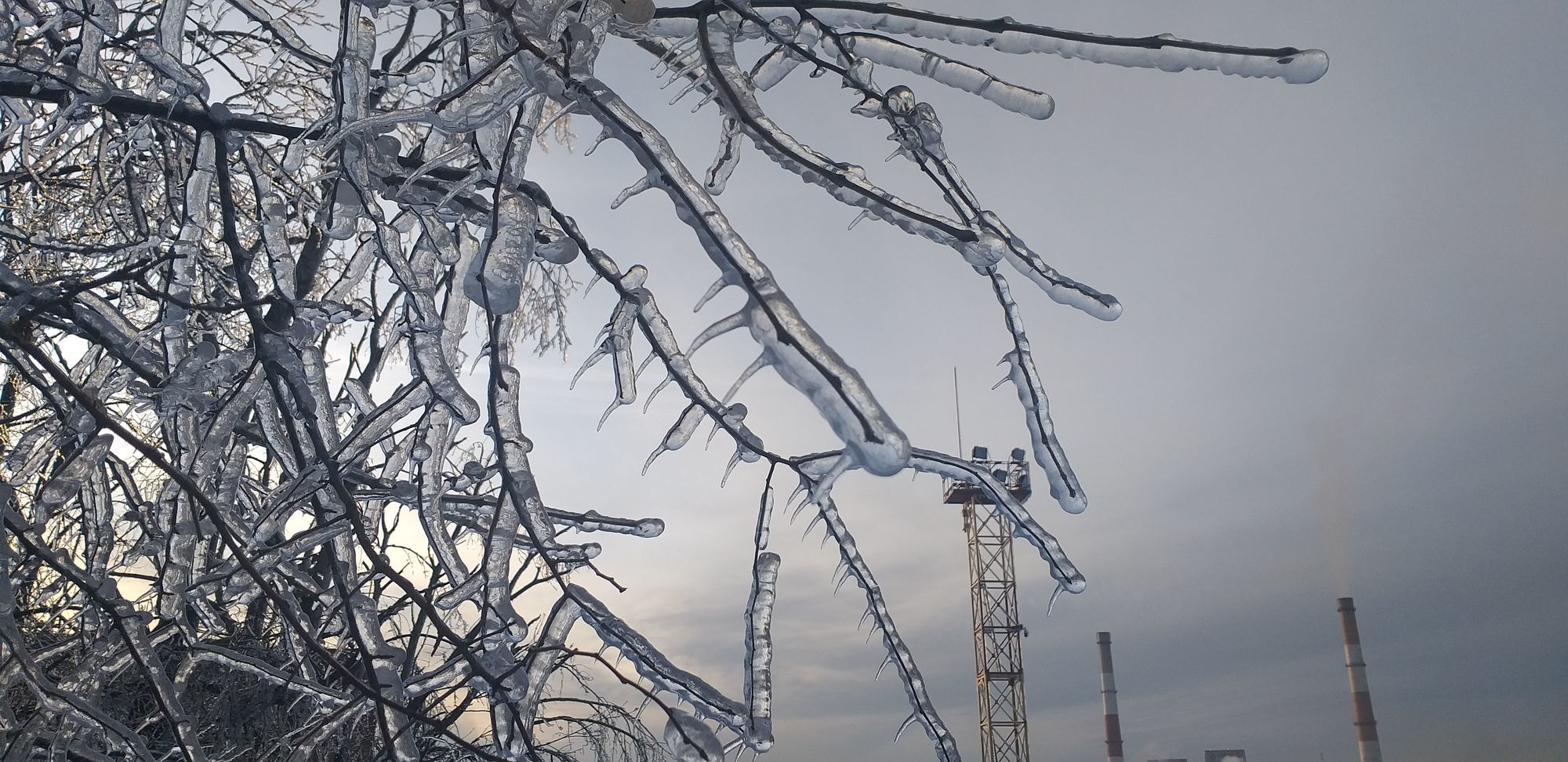 Icy Vladivostok - My, Vladivostok, Element, Weather, Icing, Ice, Longpost